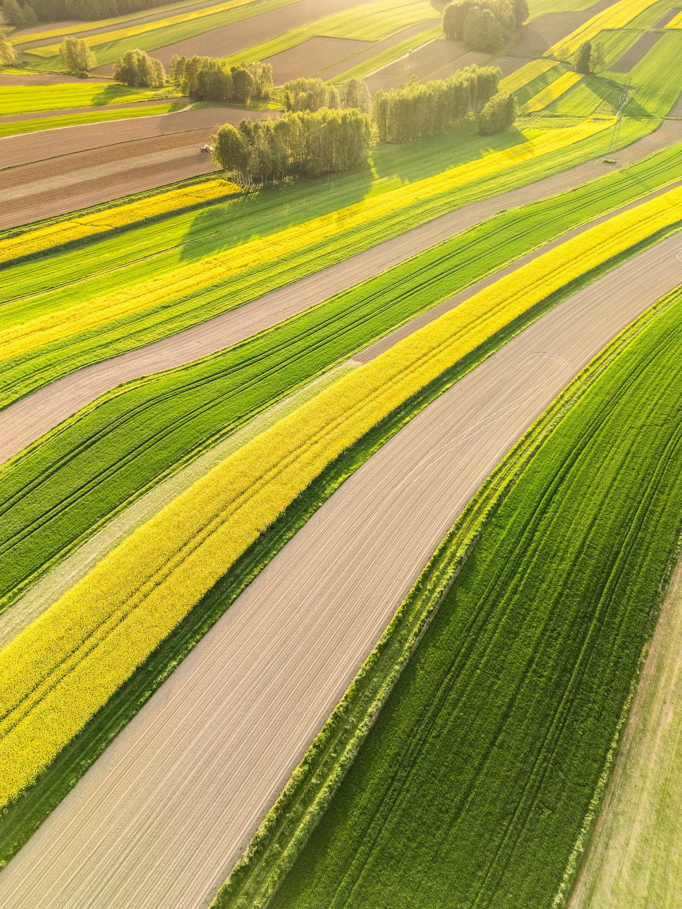 Aerial view of colourful farmland