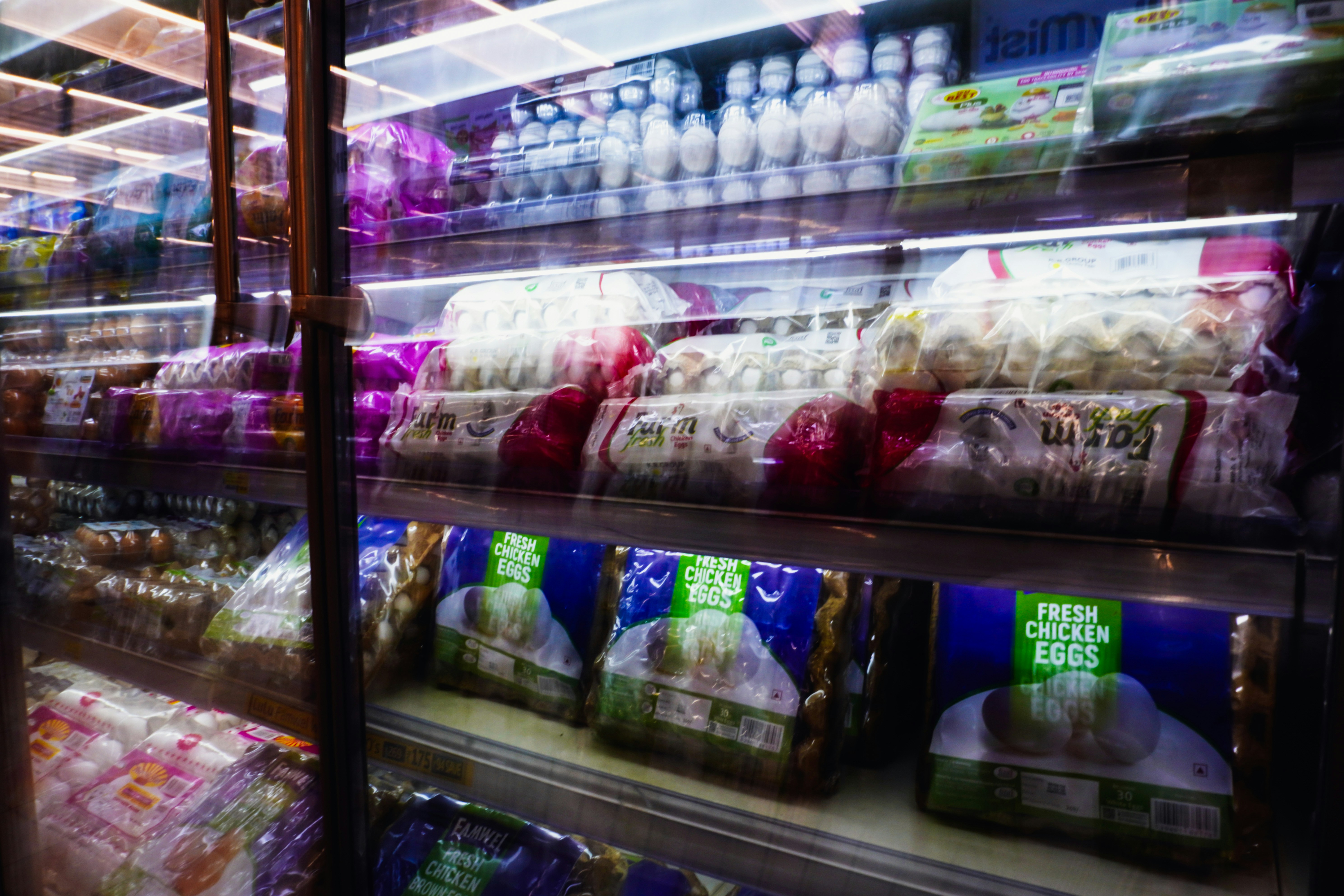 Emergent Cold LatAm expande com armazém de 37.000 paletes no Chile e aquisição no Rio