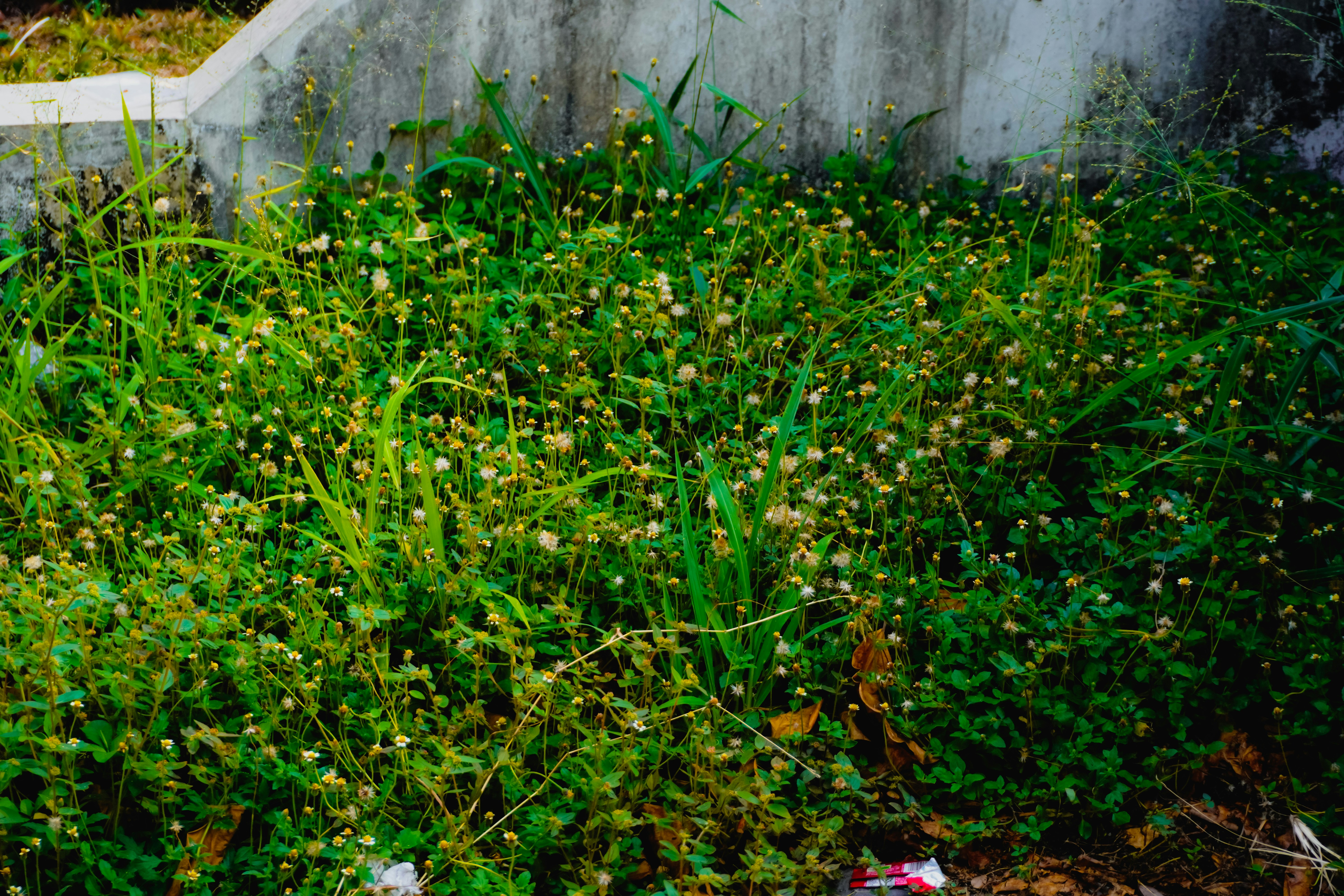 Photo by adhitya_2505