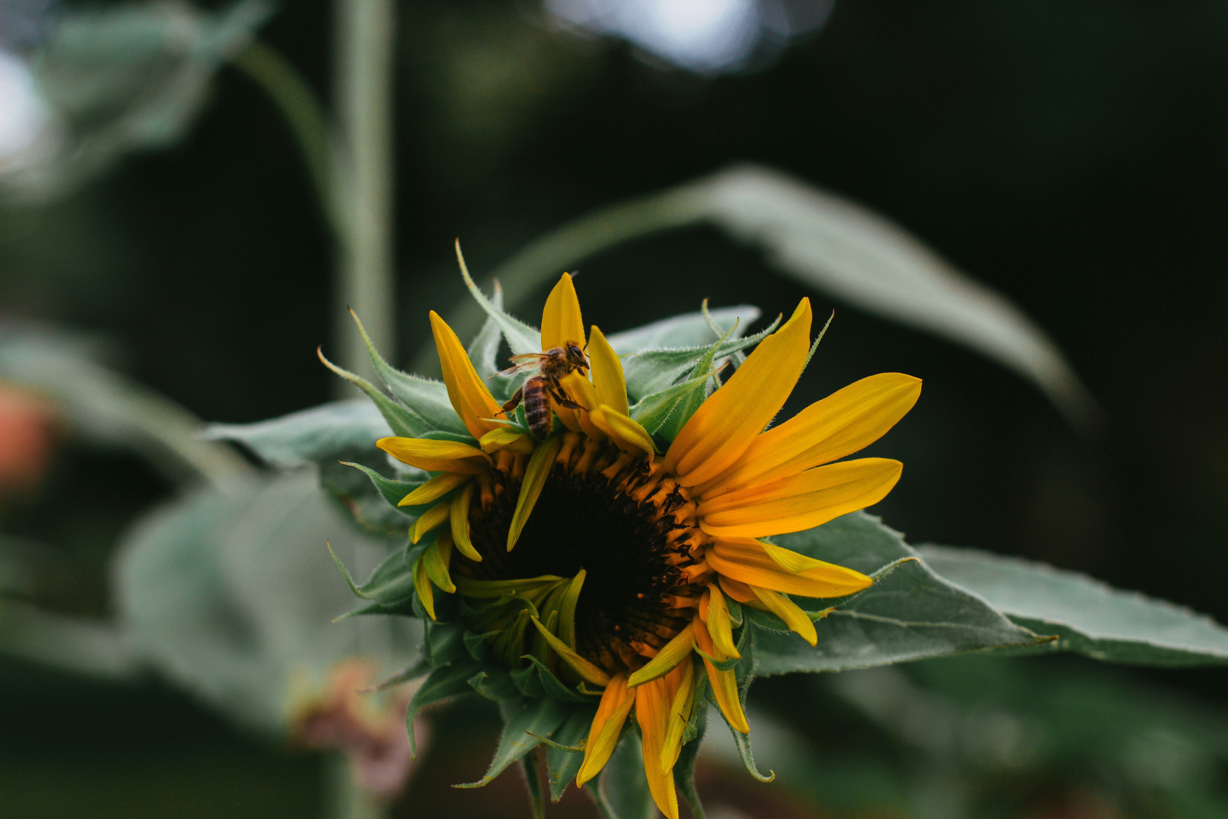 Photo by _zachreiner_