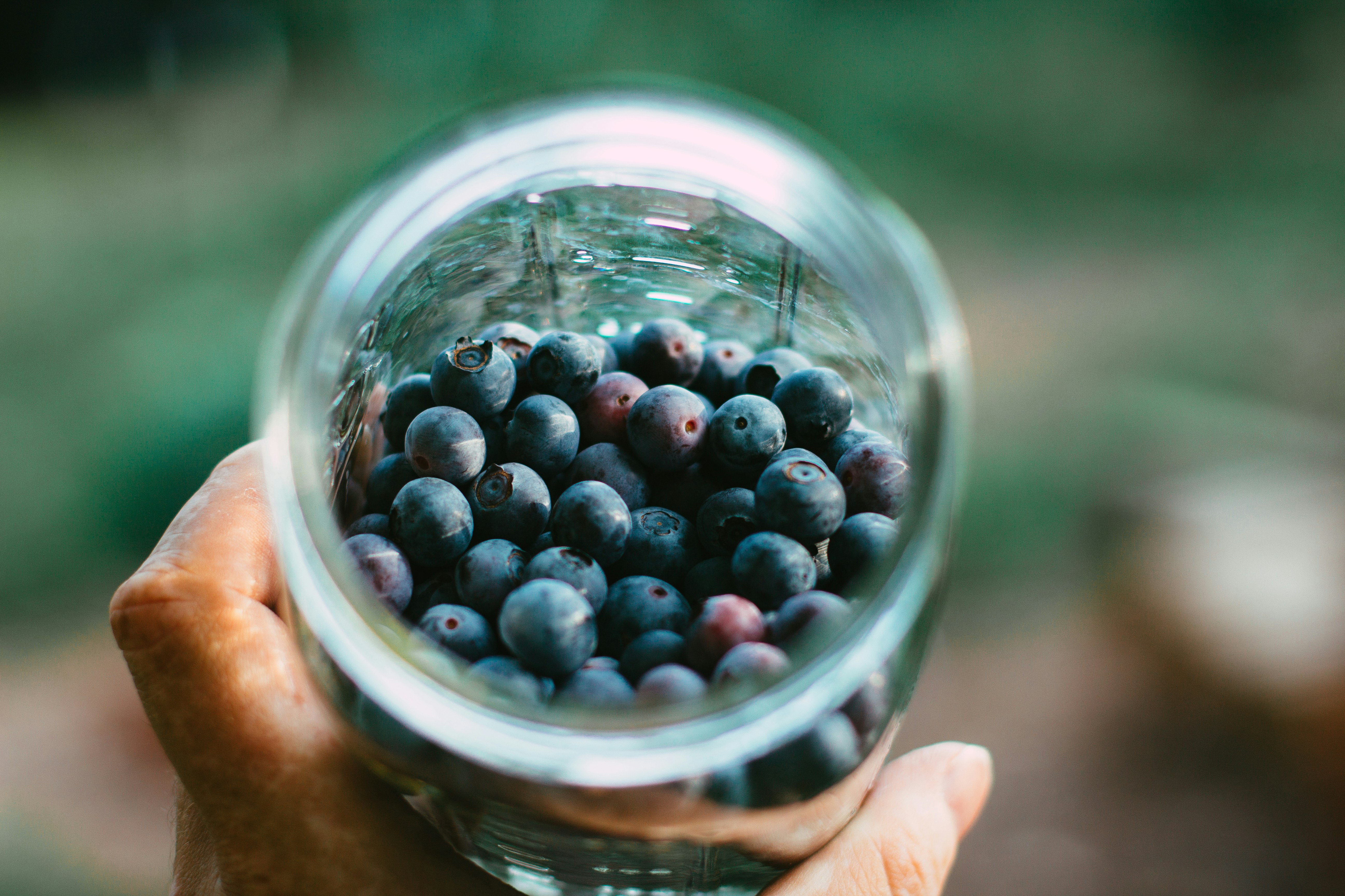 Photo by _zachreiner_