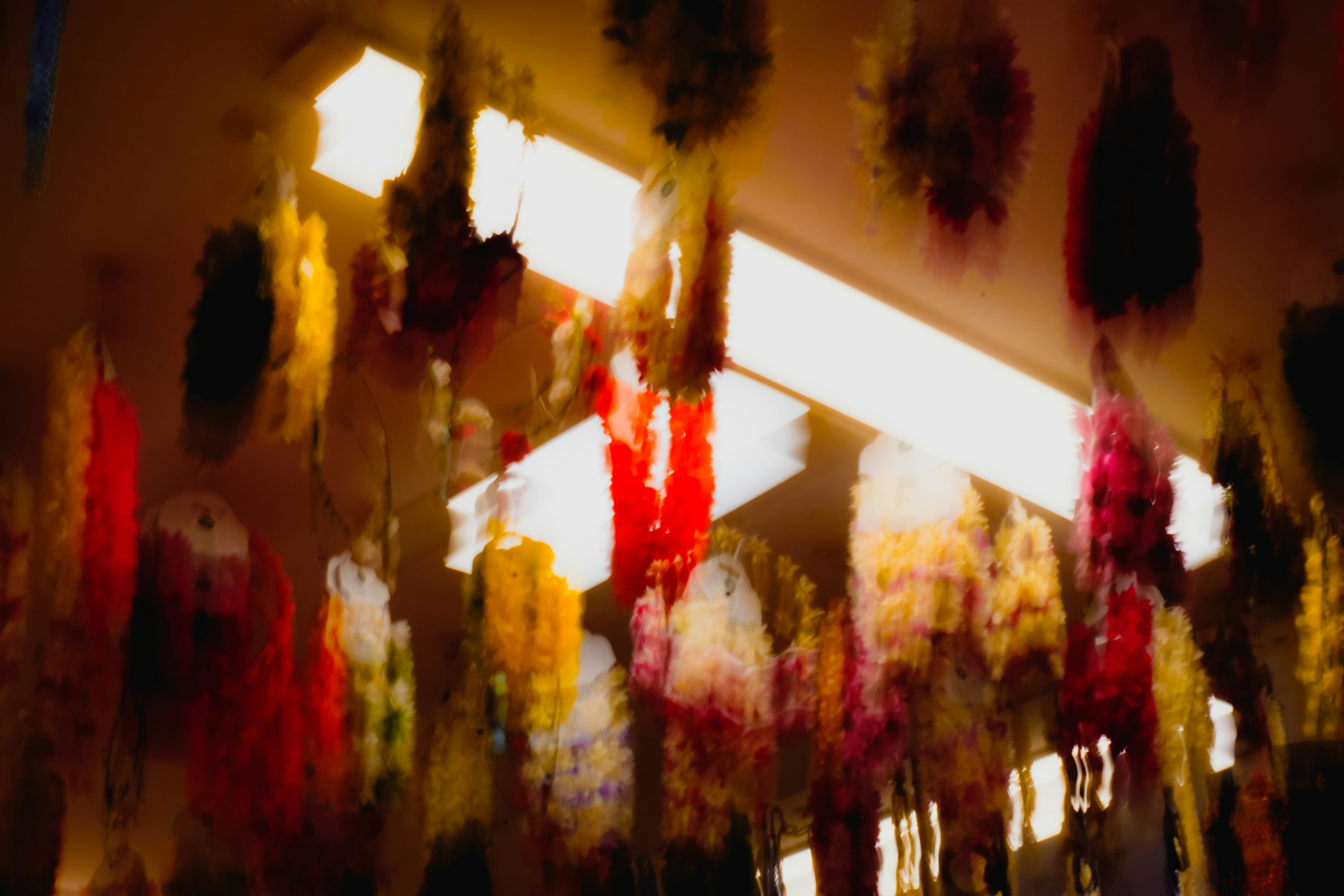 Photo by adhitya_2505