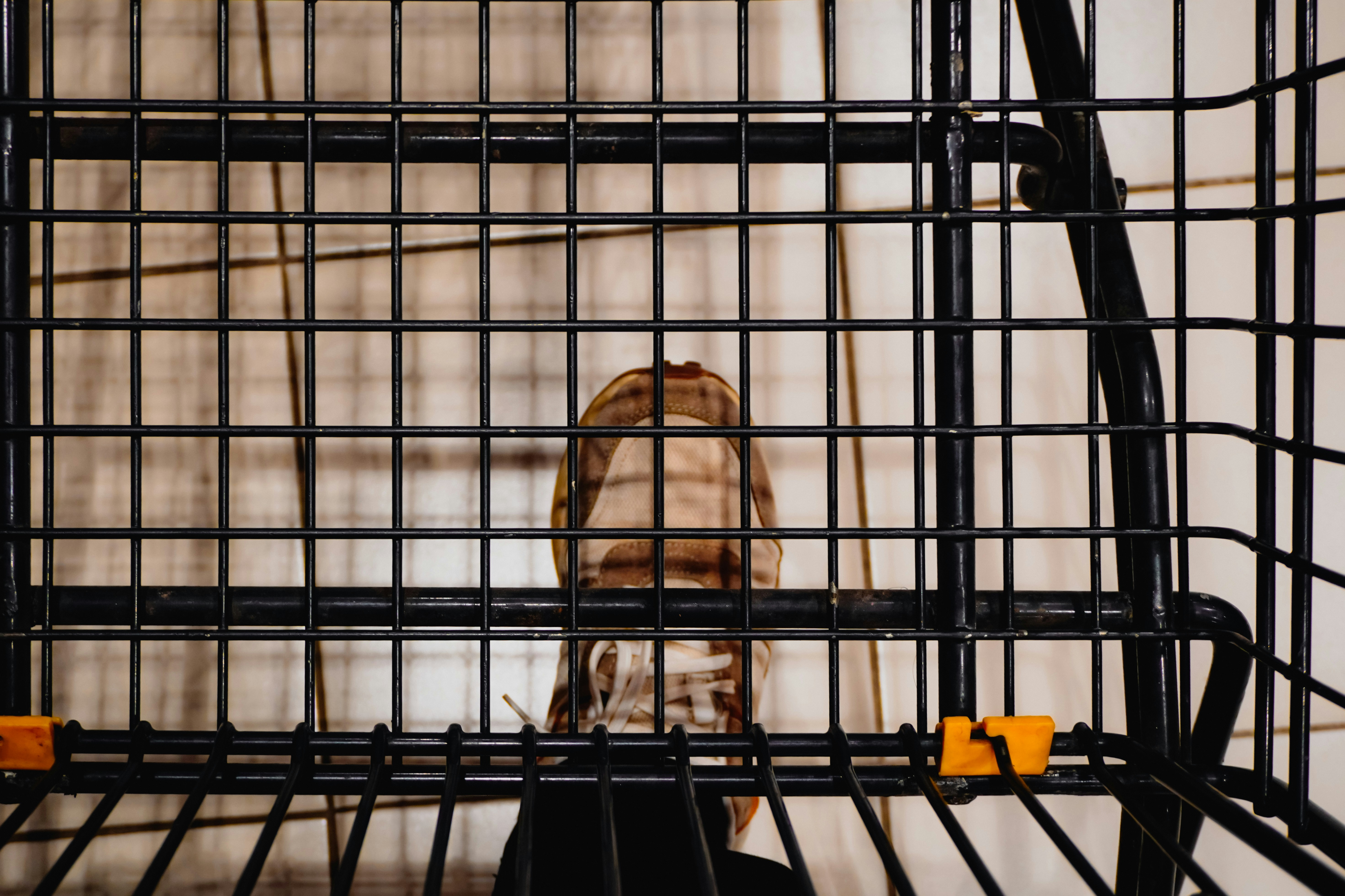 A person's head seen through a black metal grate.
