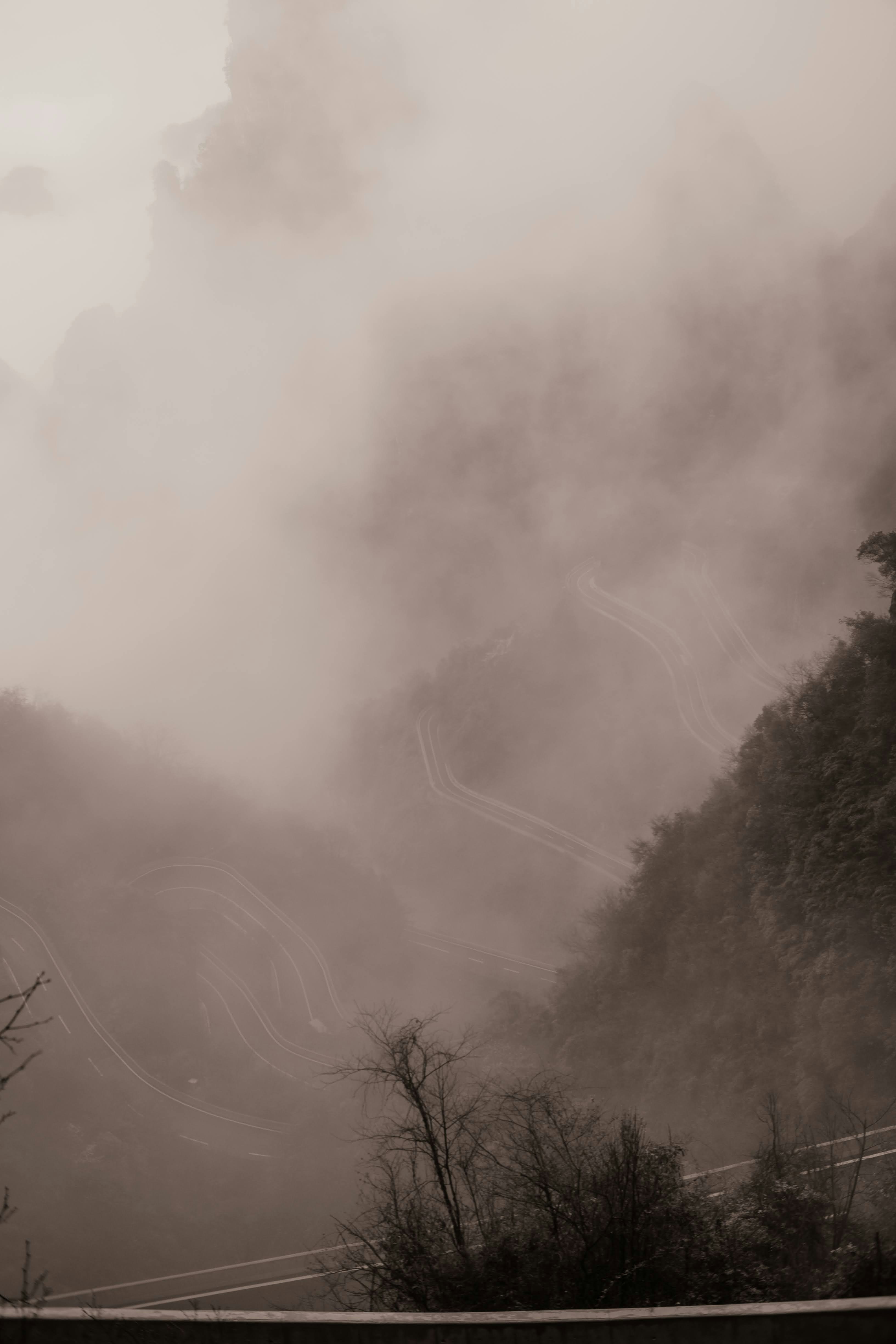 Photo by madeline_sd