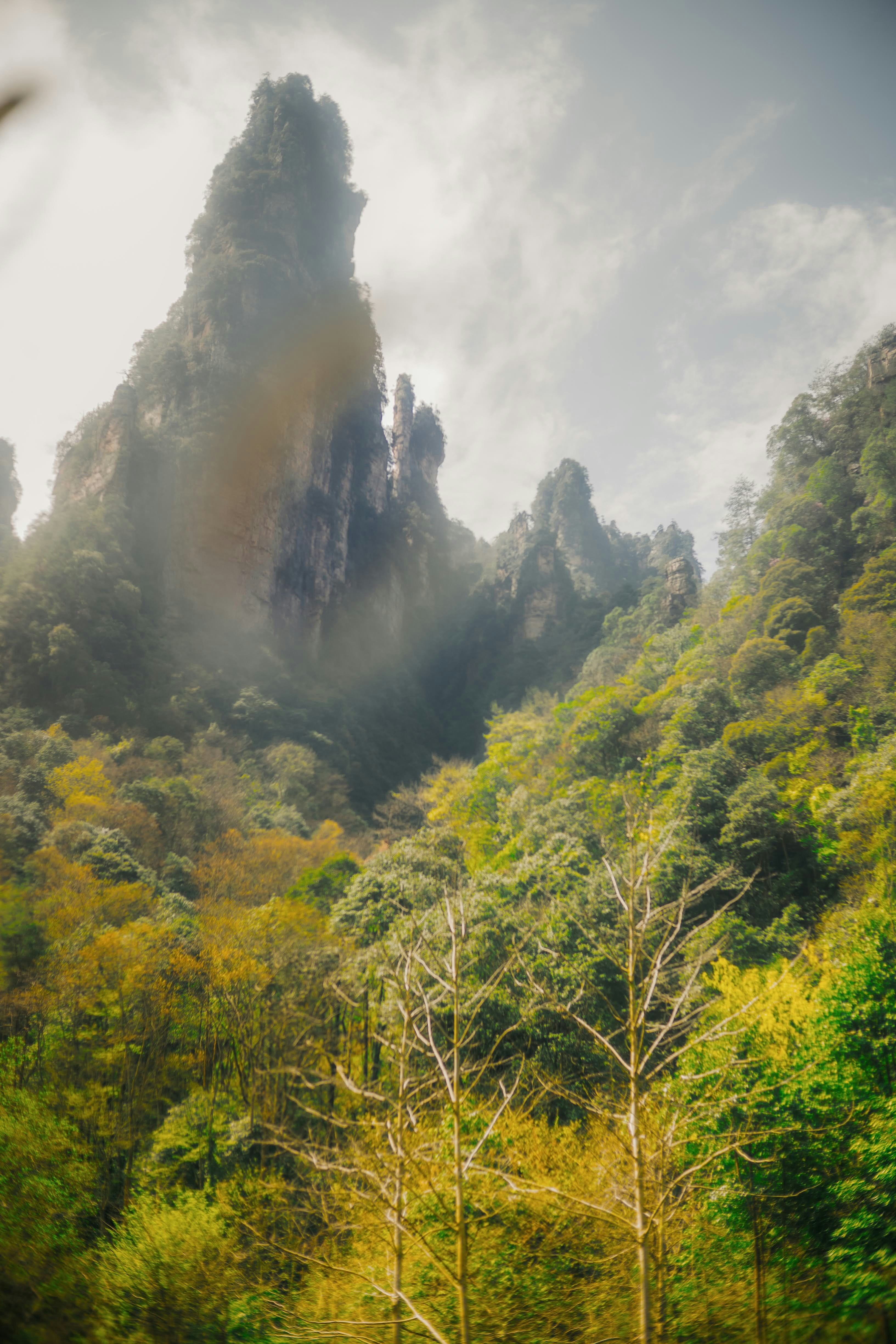 Photo by madeline_sd