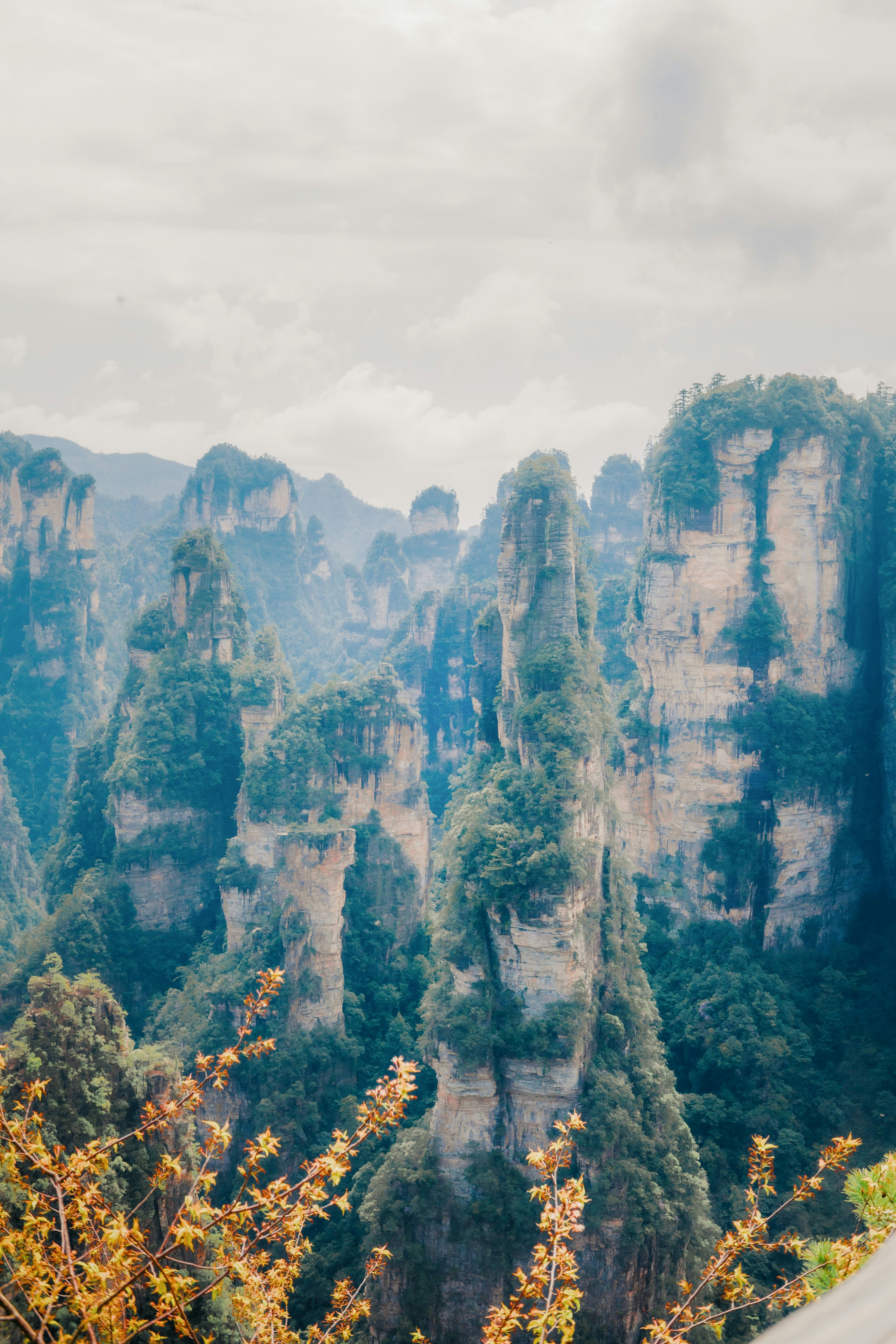 Photo by madeline_sd