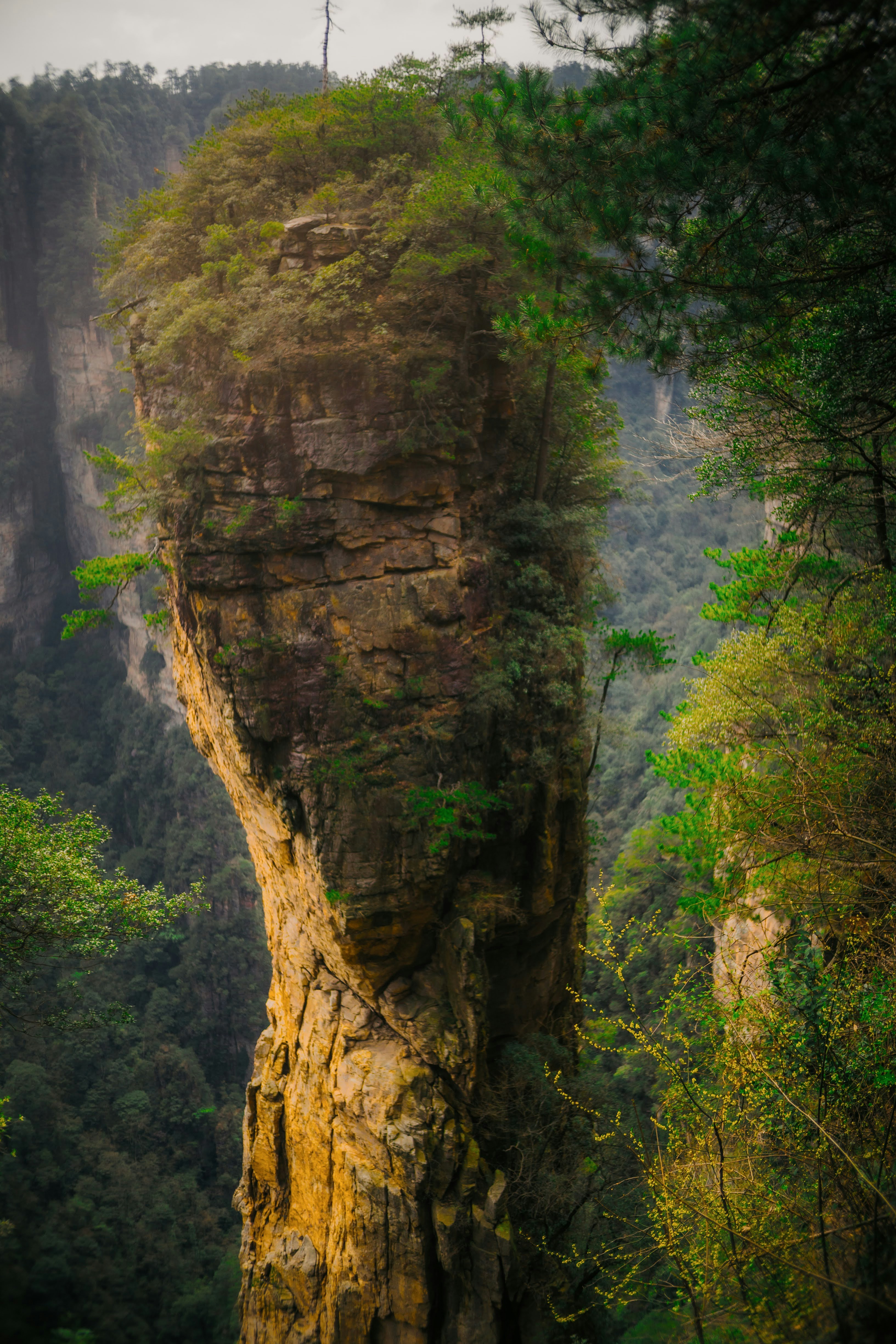 Photo by madeline_sd