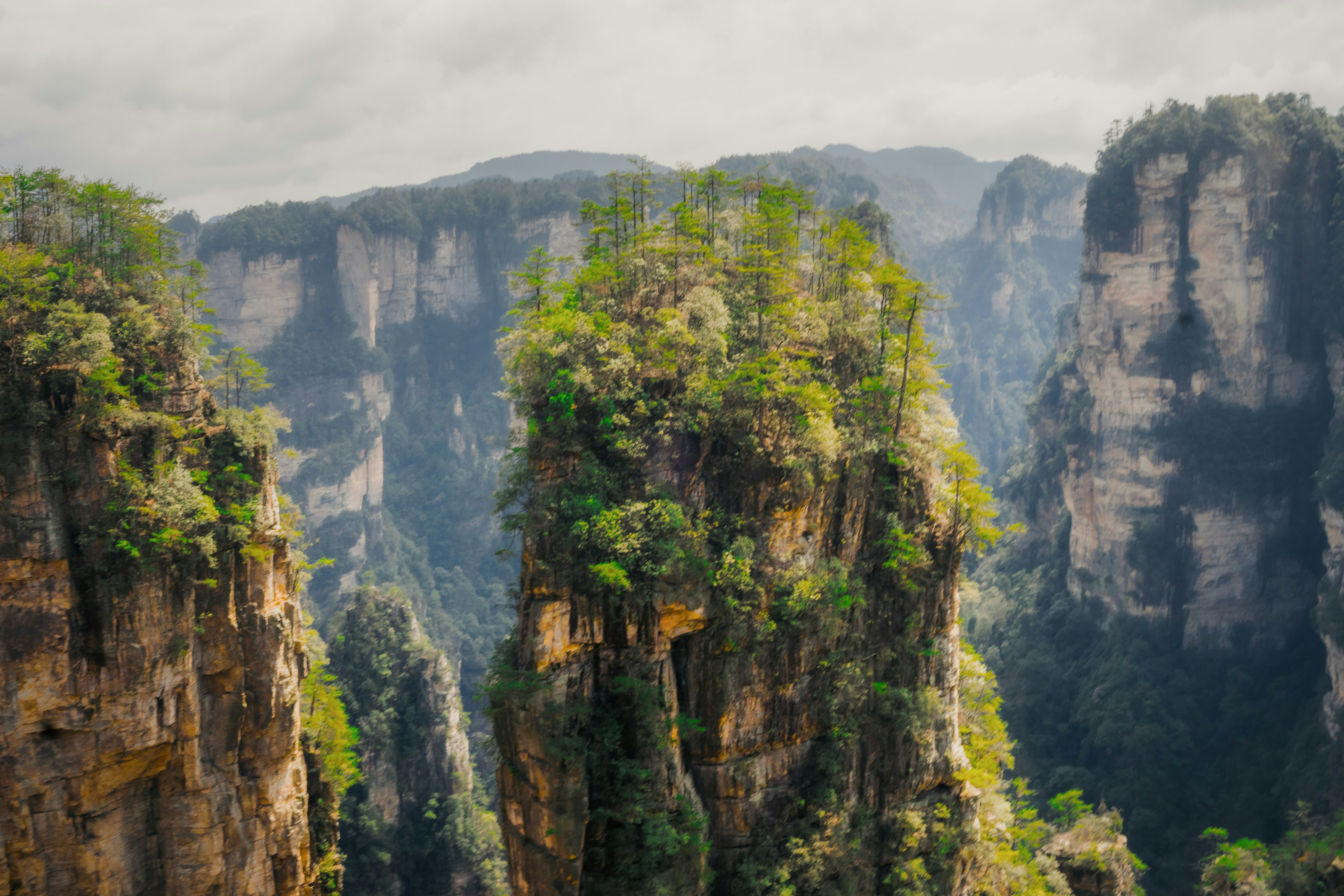 Photo by madeline_sd