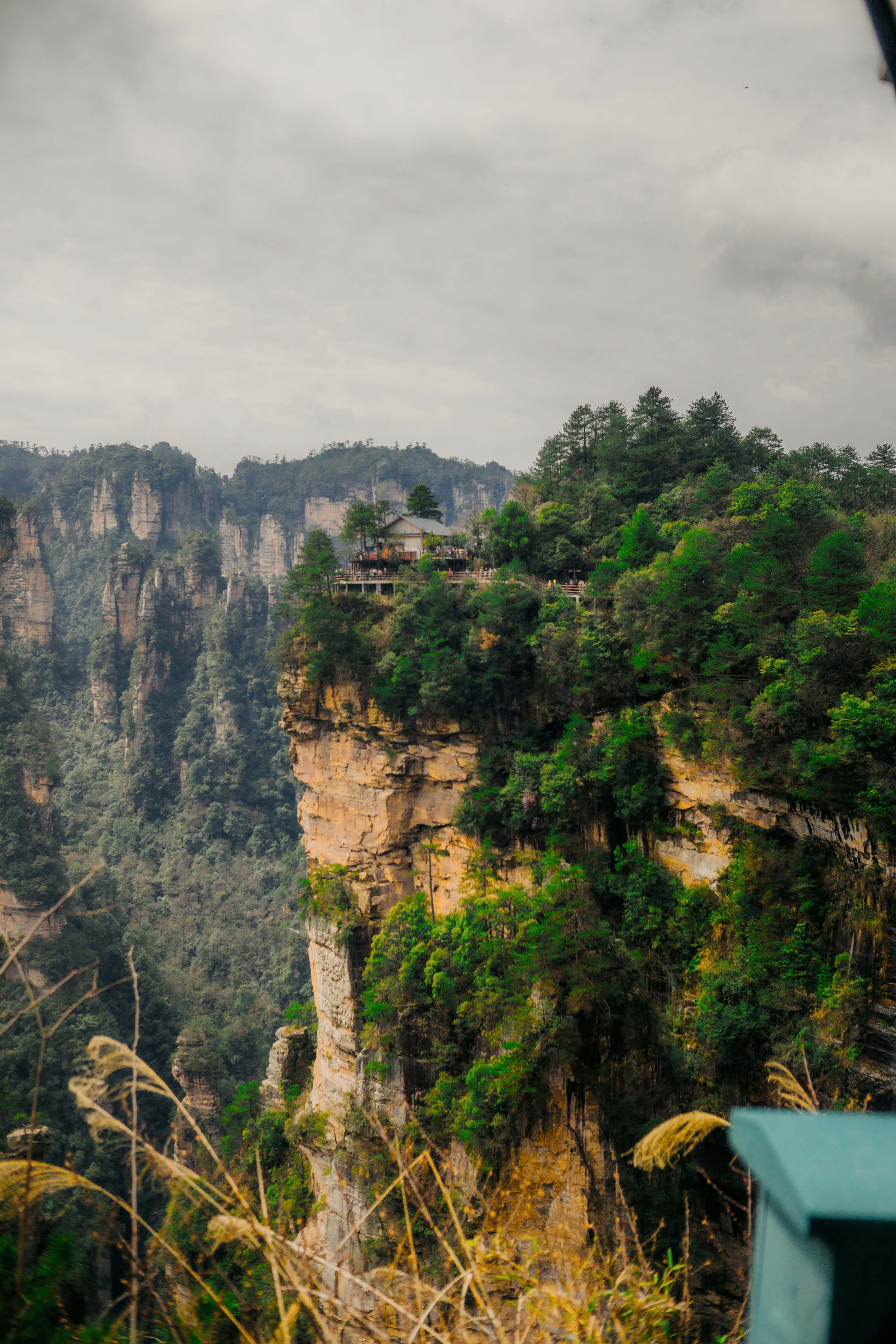 Photo by madeline_sd