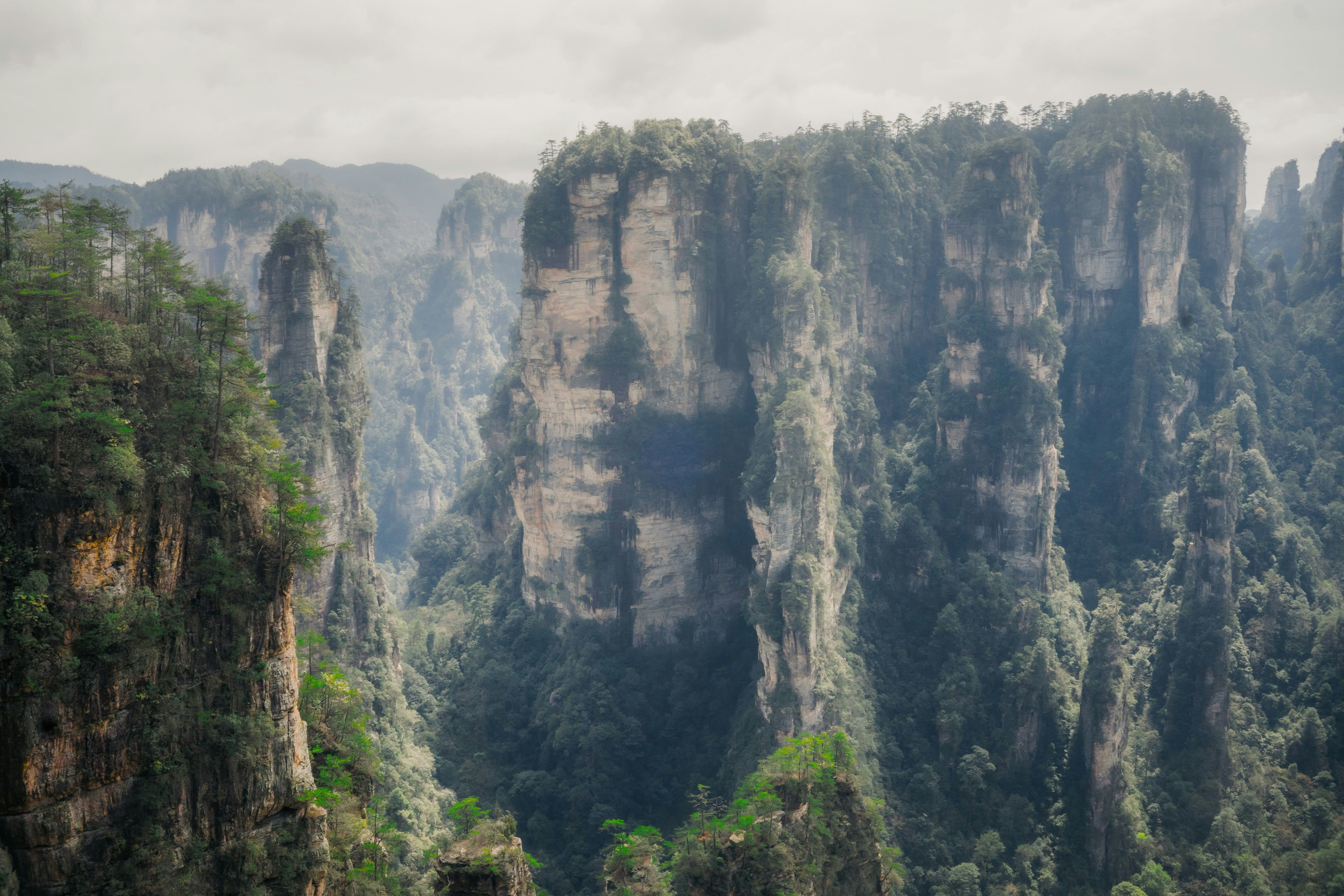 Photo by madeline_sd