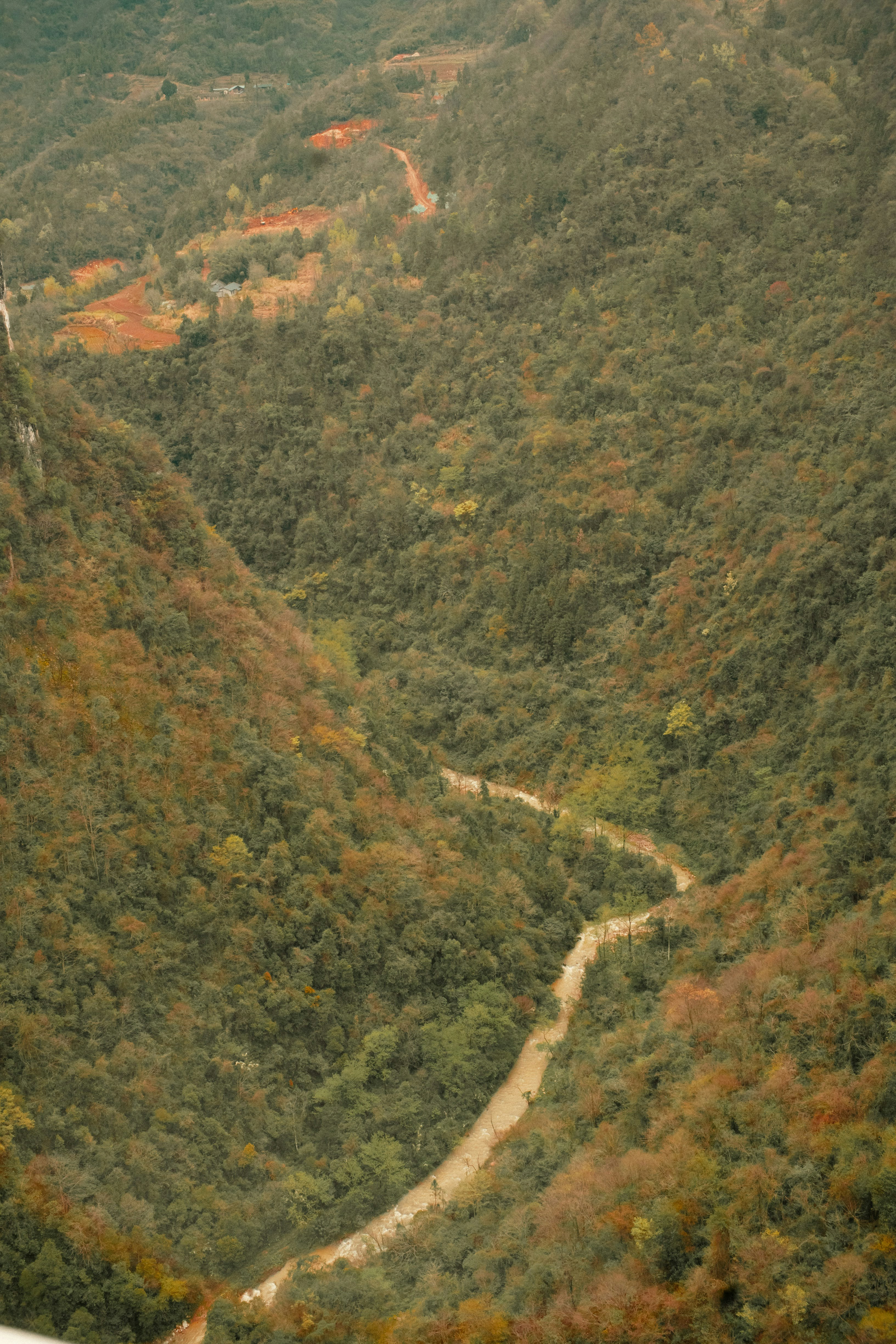 Photo by madeline_sd