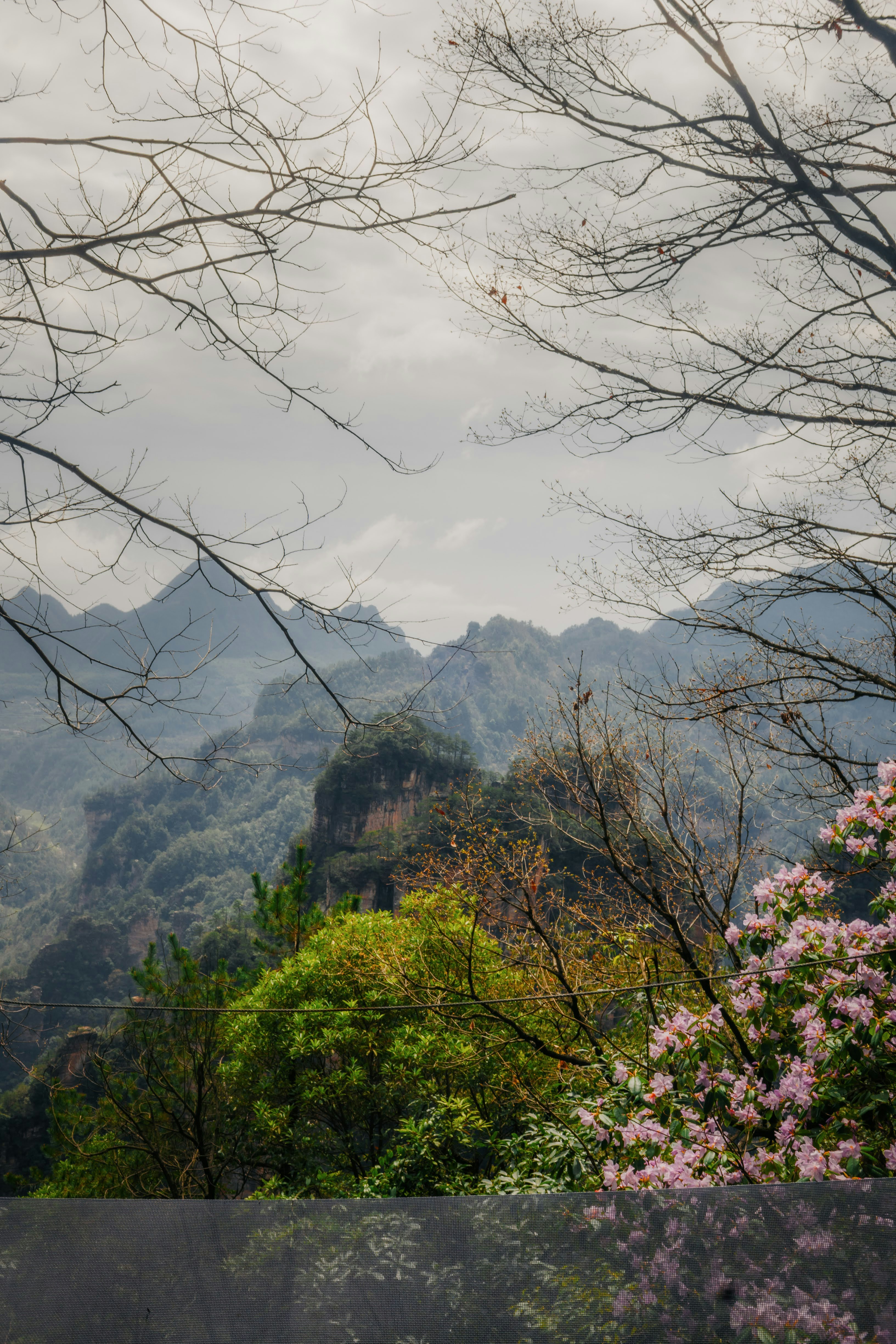 Photo by madeline_sd