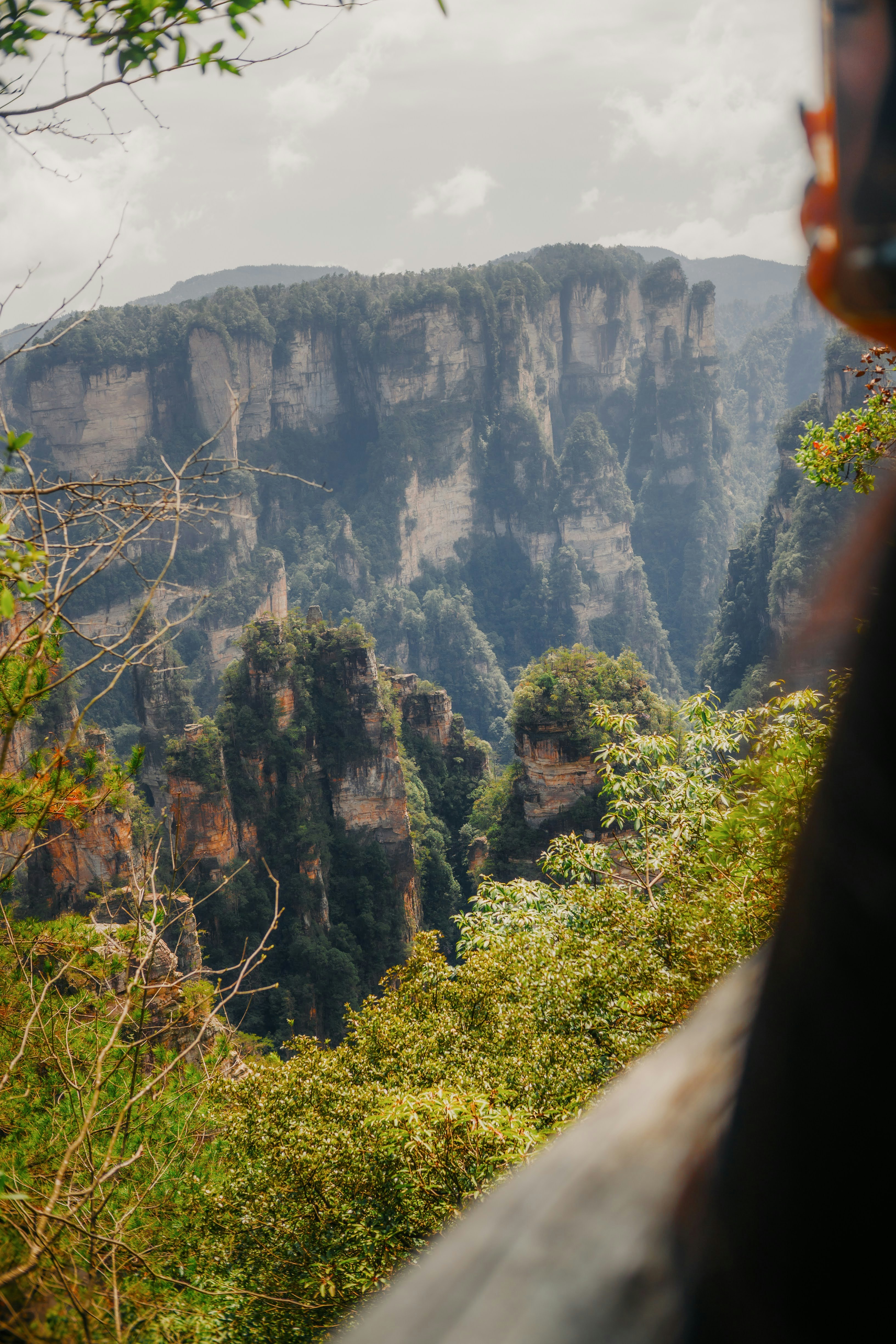 Photo by madeline_sd