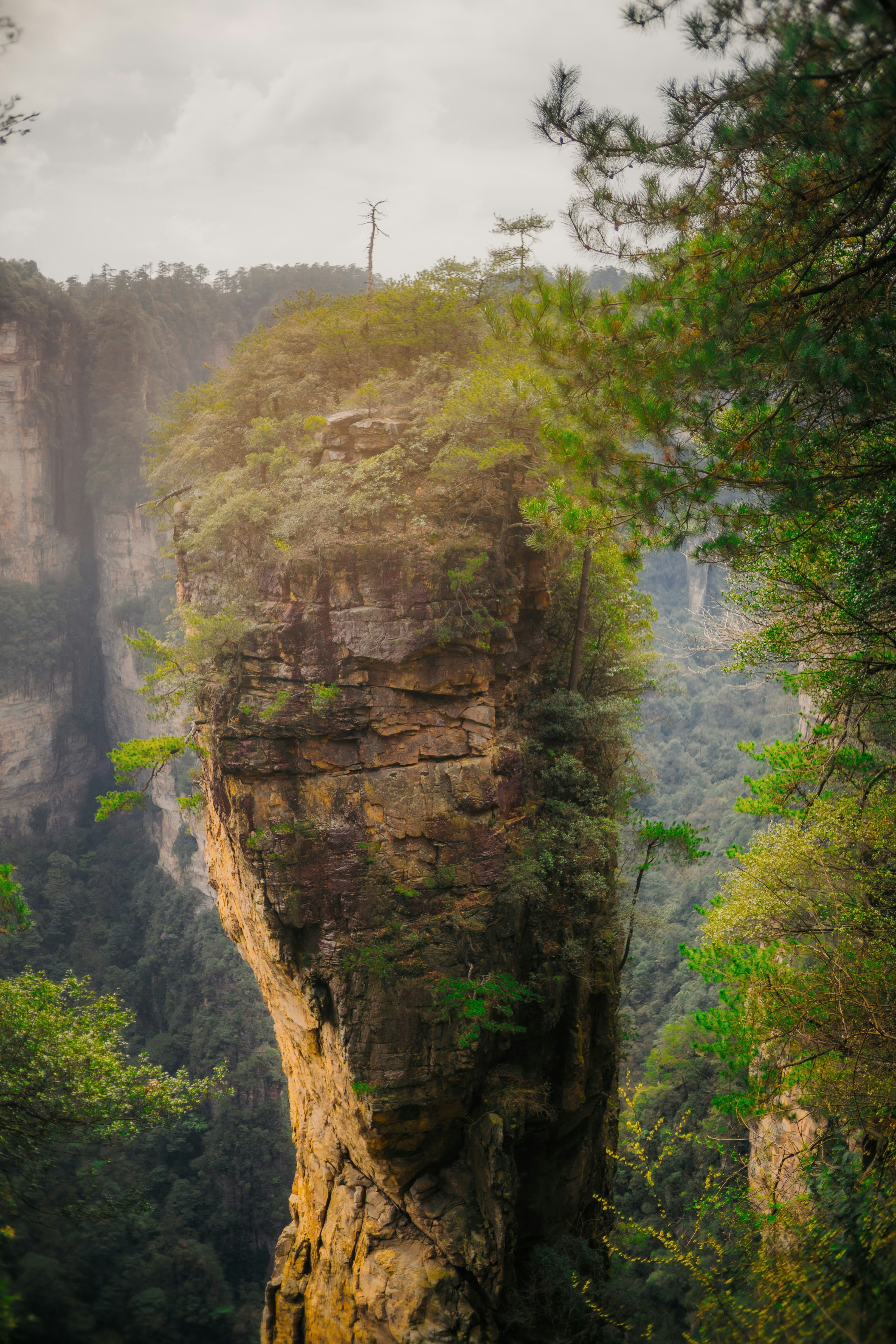 Photo by madeline_sd