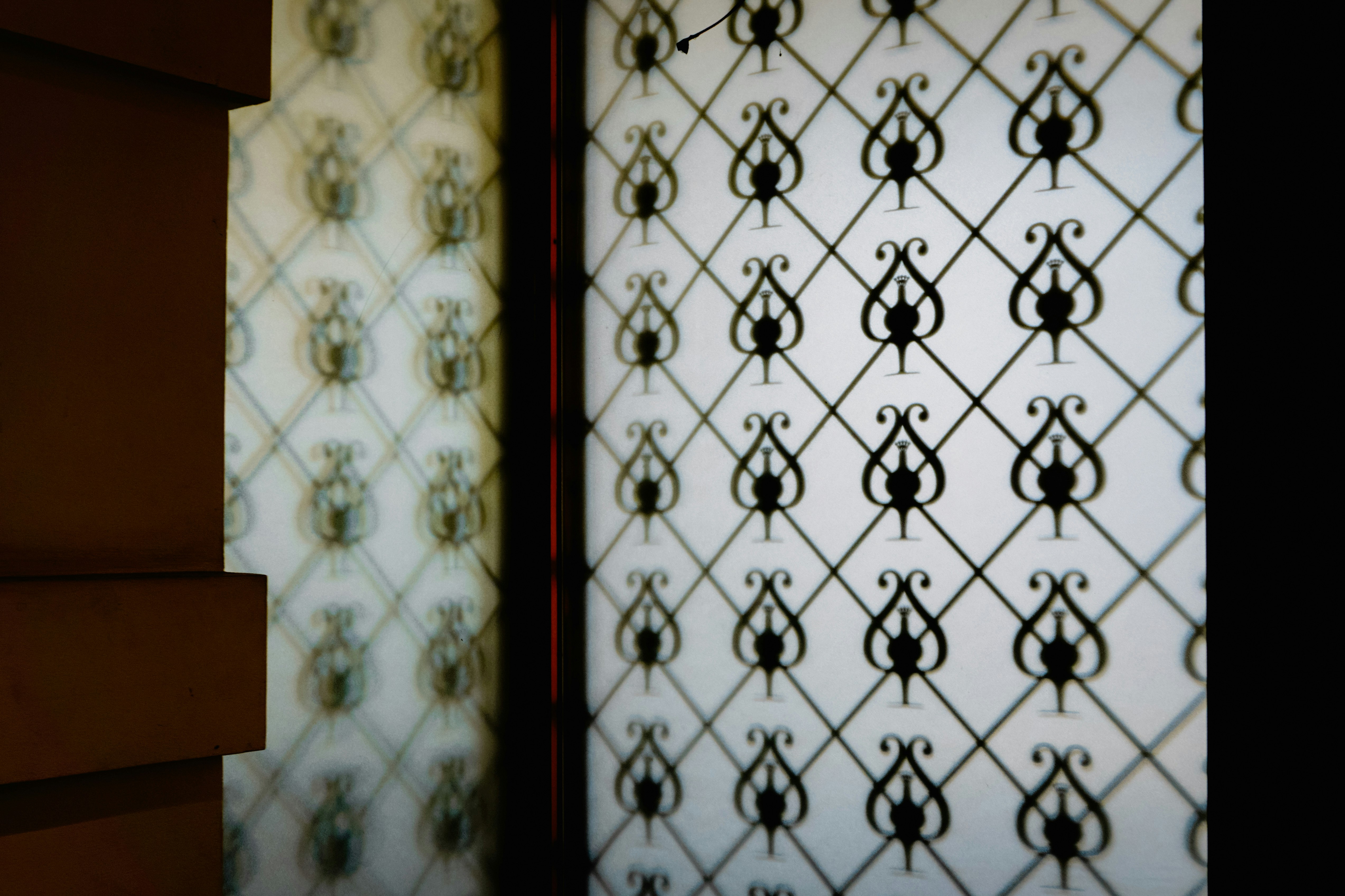 Photo by adhitya_2505