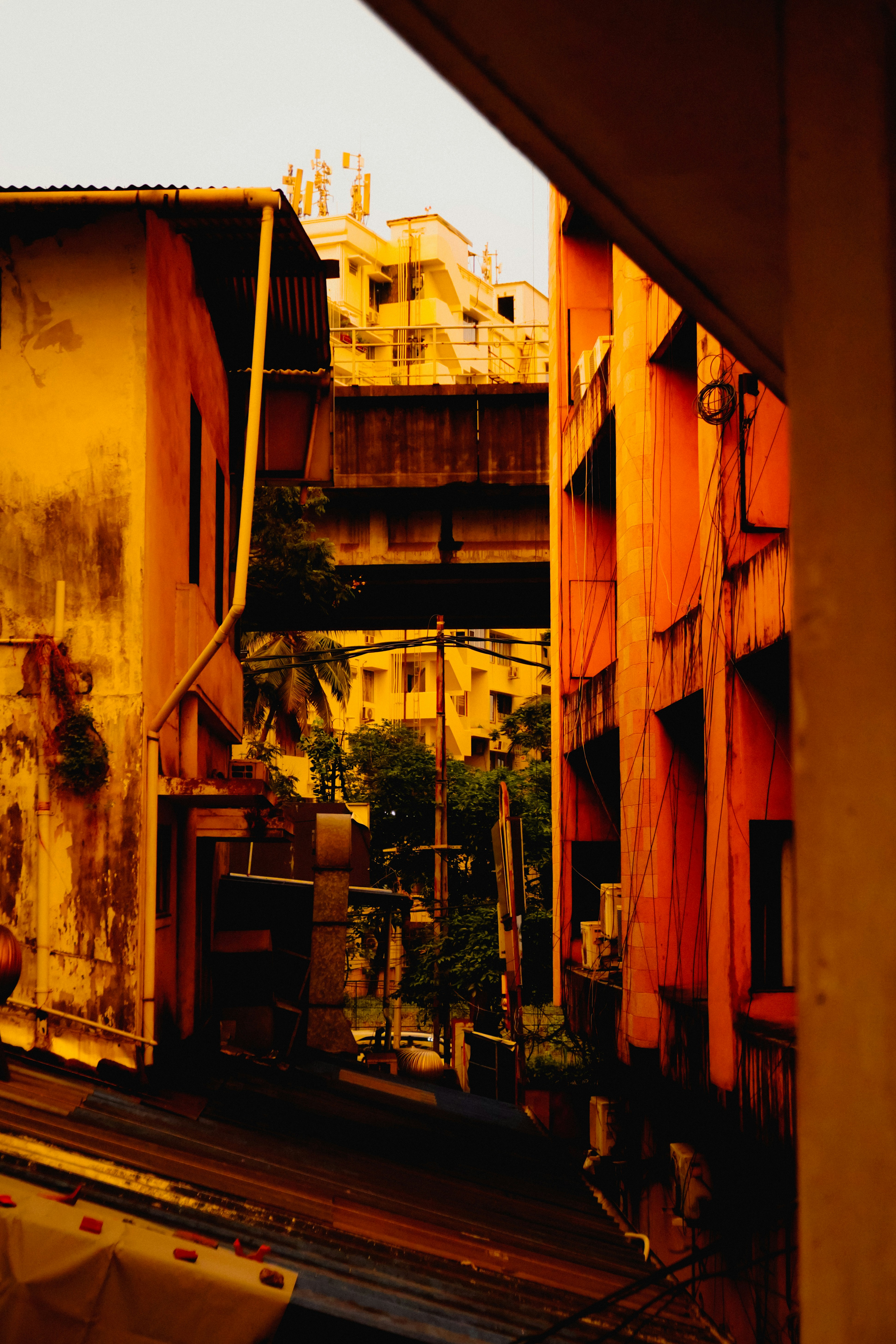 Edificios naranjas bordean una calle estrecha con árboles densos.