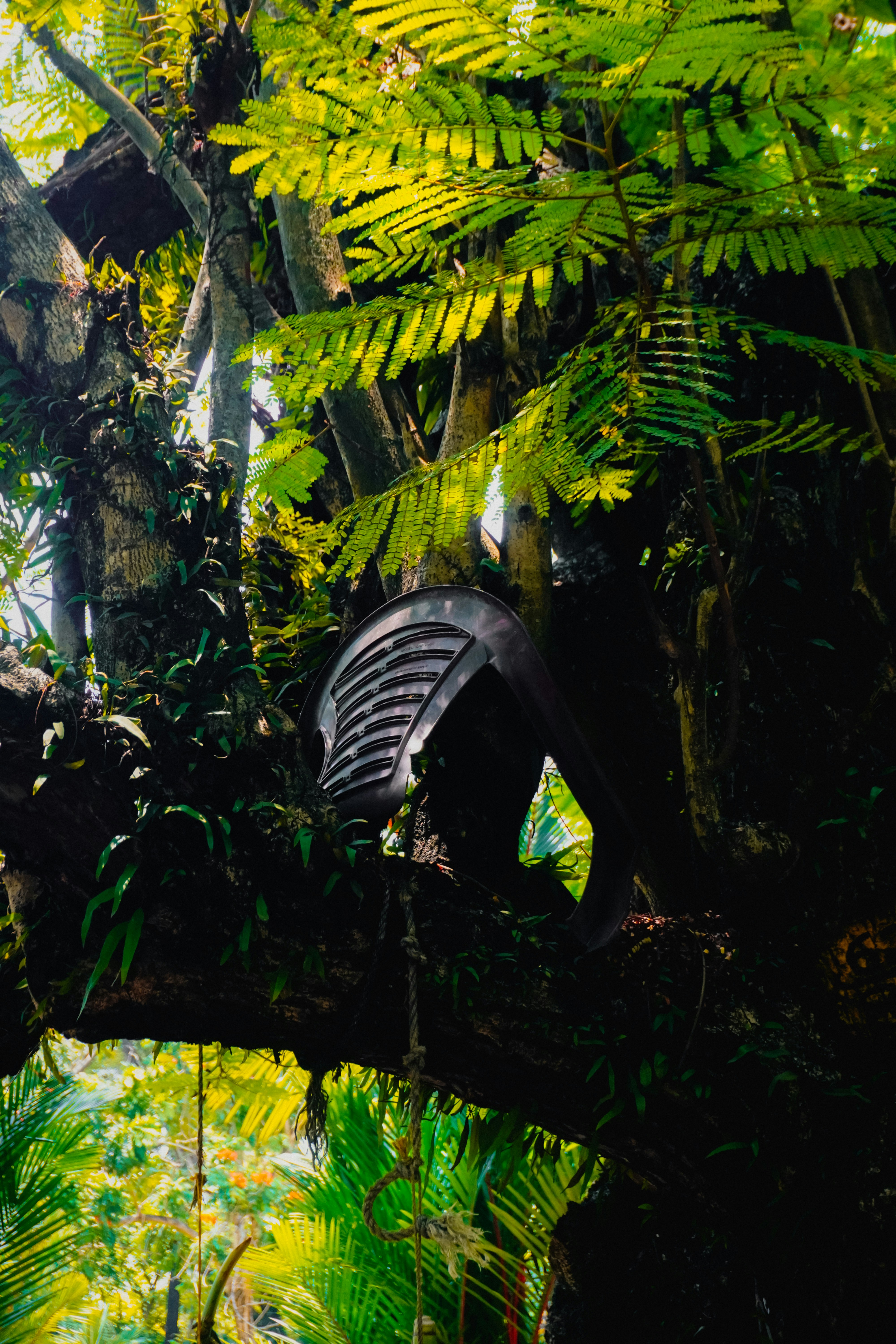 Photo by adhitya_2505