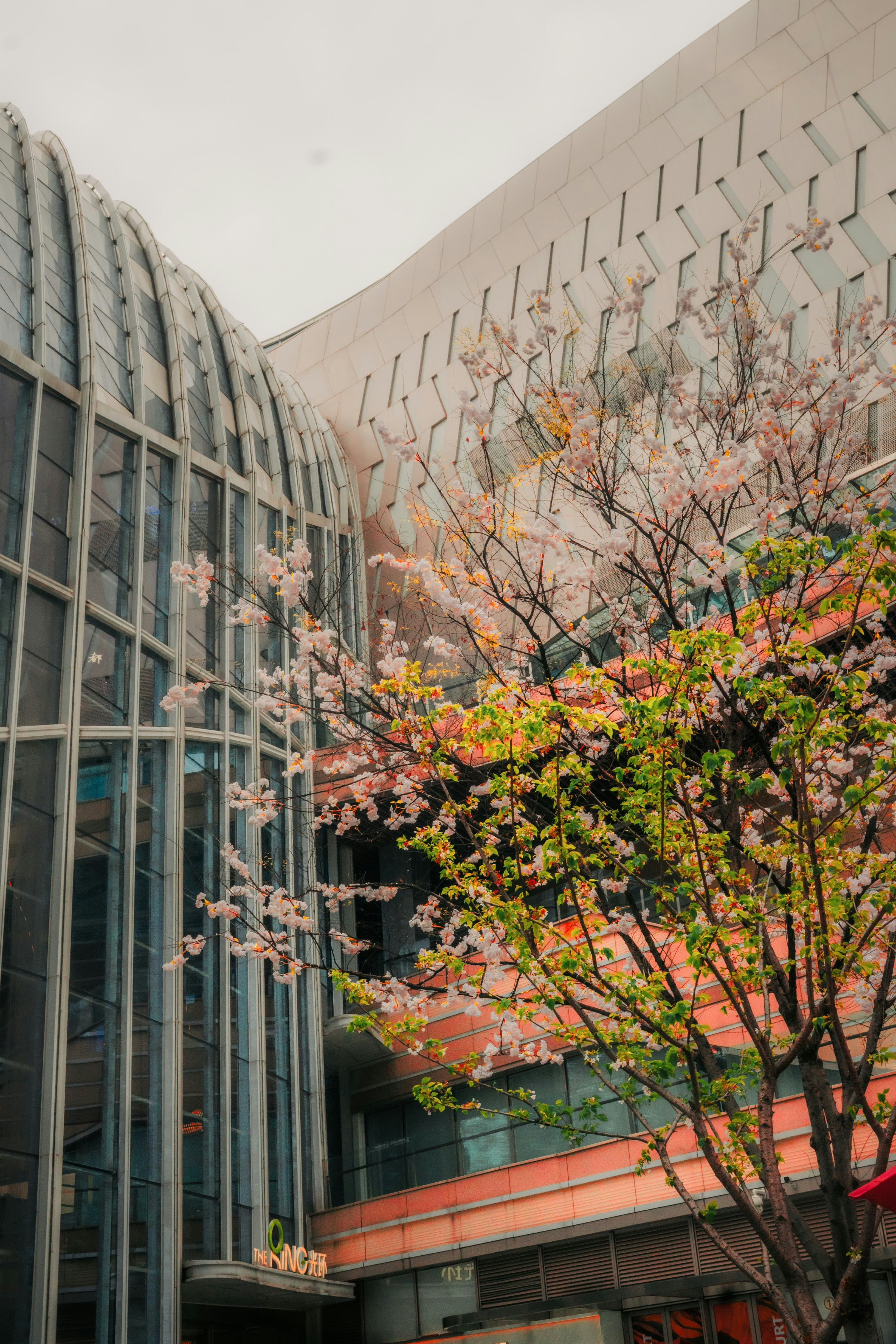 Photo by madeline_sd