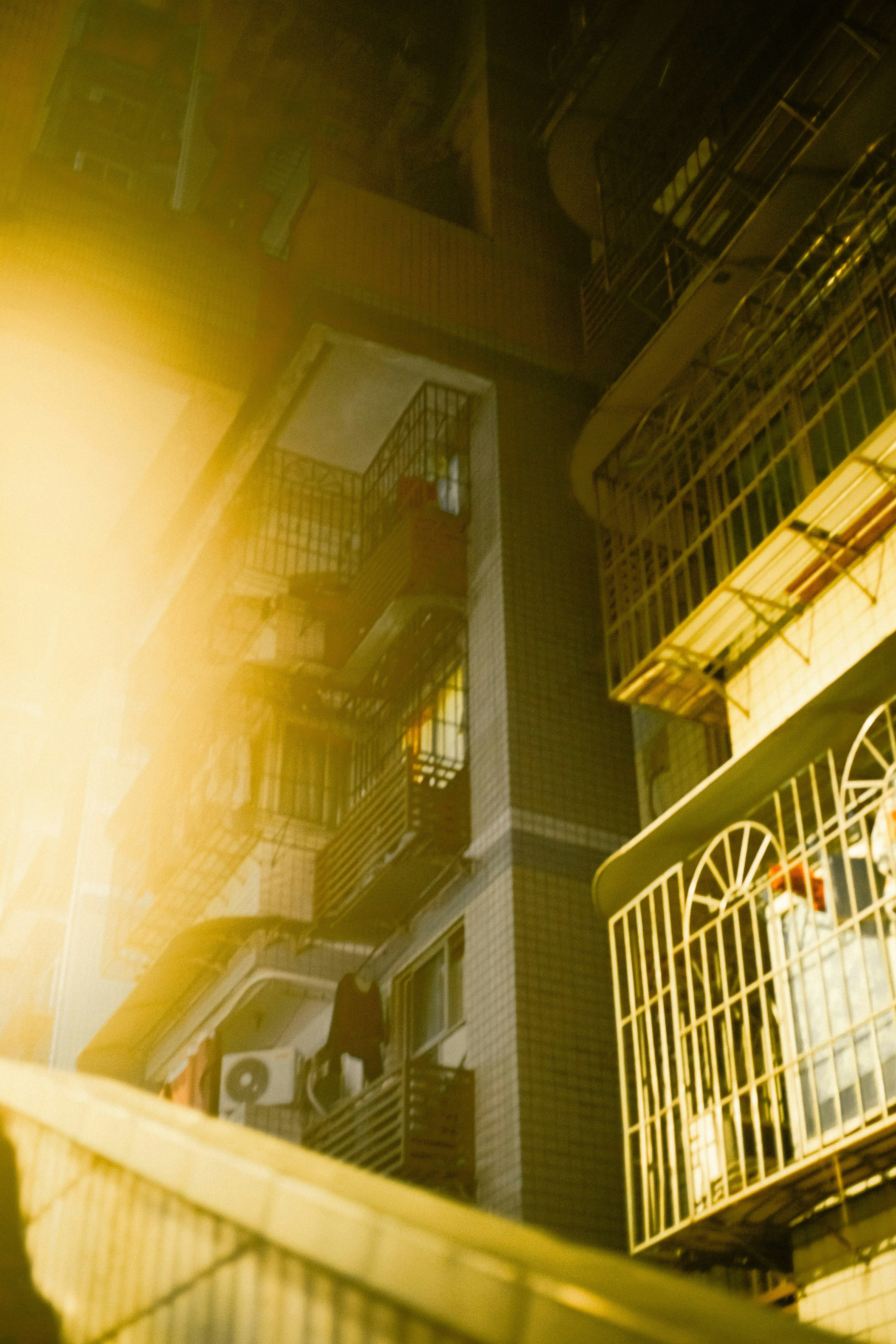 Photo by madeline_sd