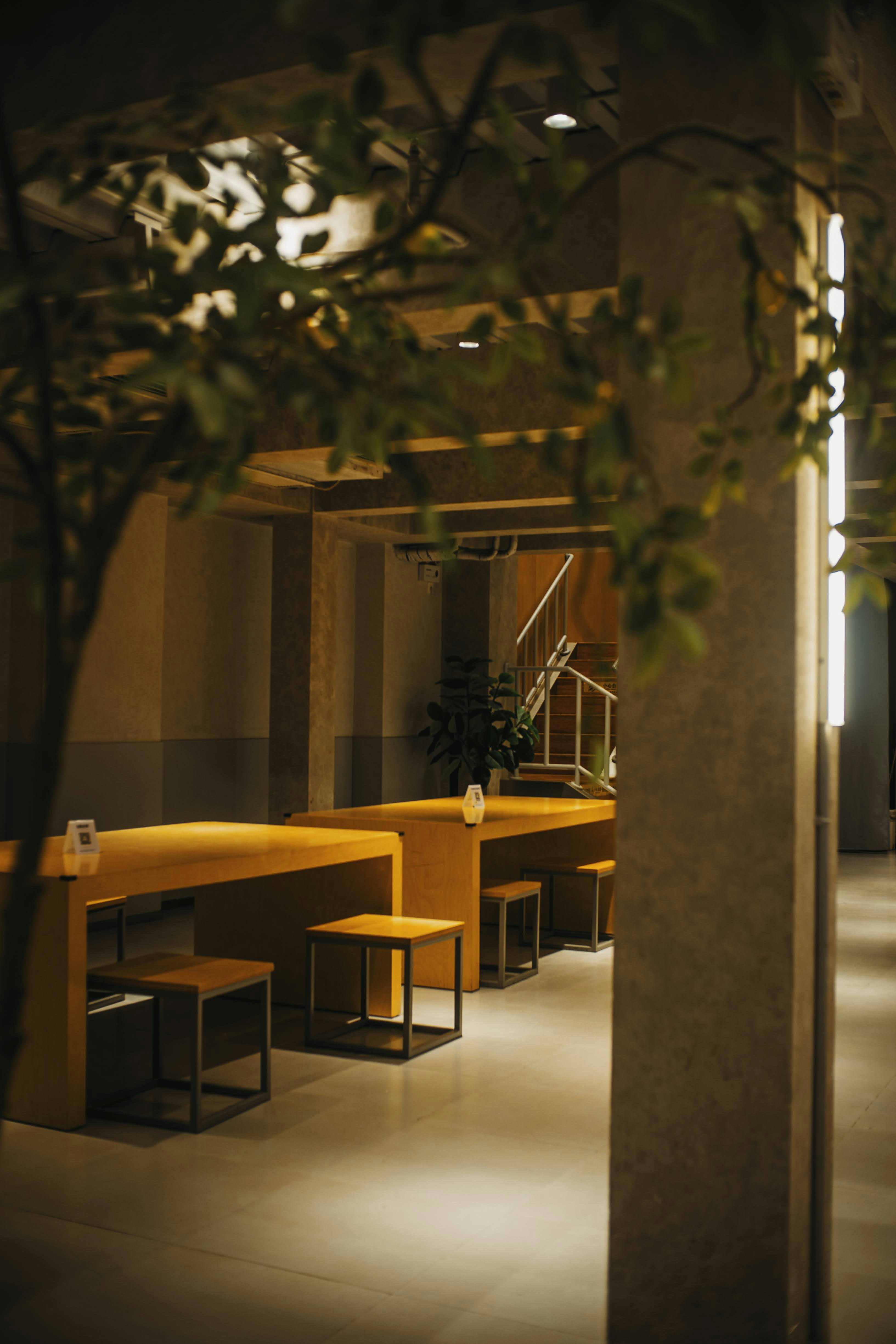 Photo by madeline_sd