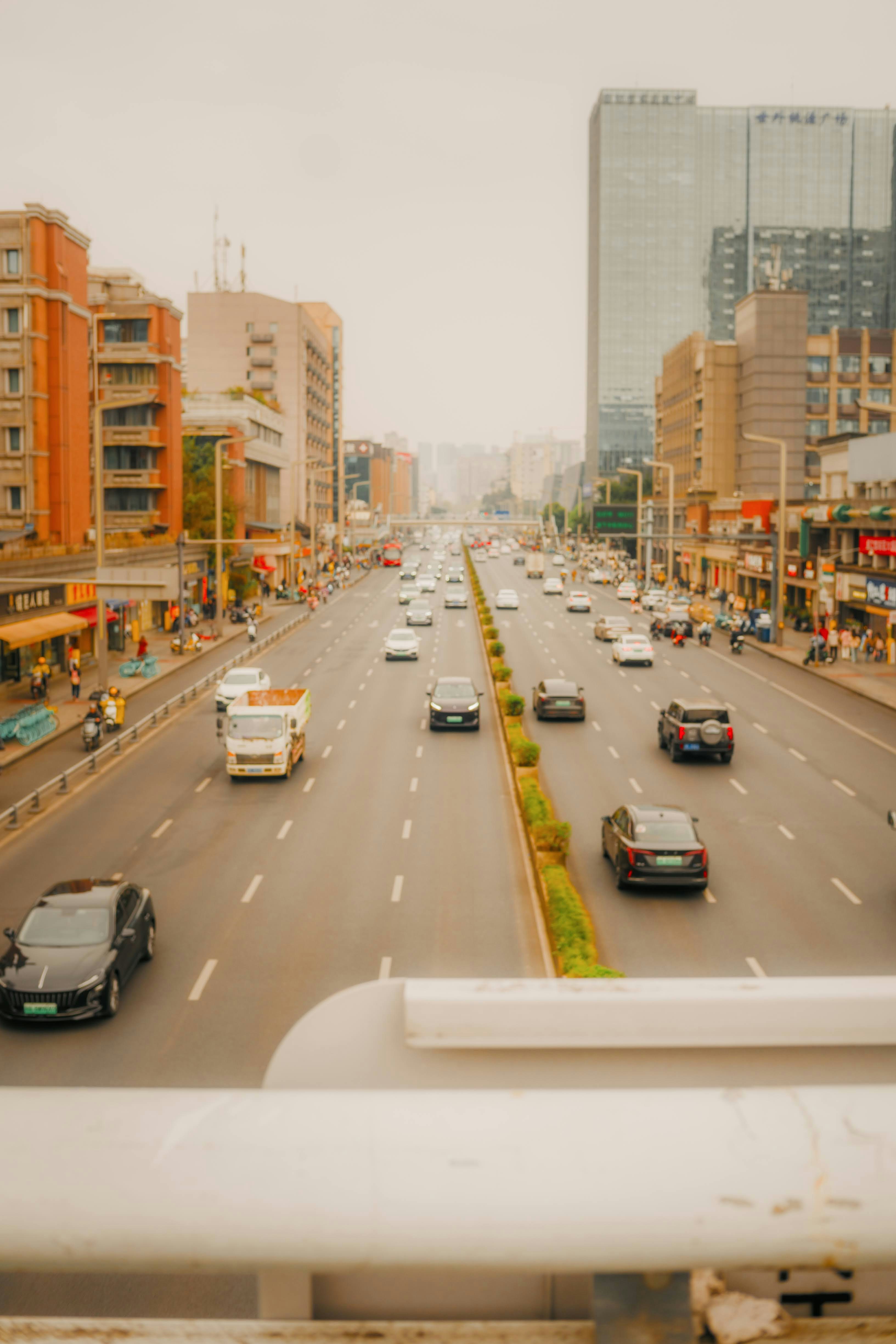 Photo by madeline_sd