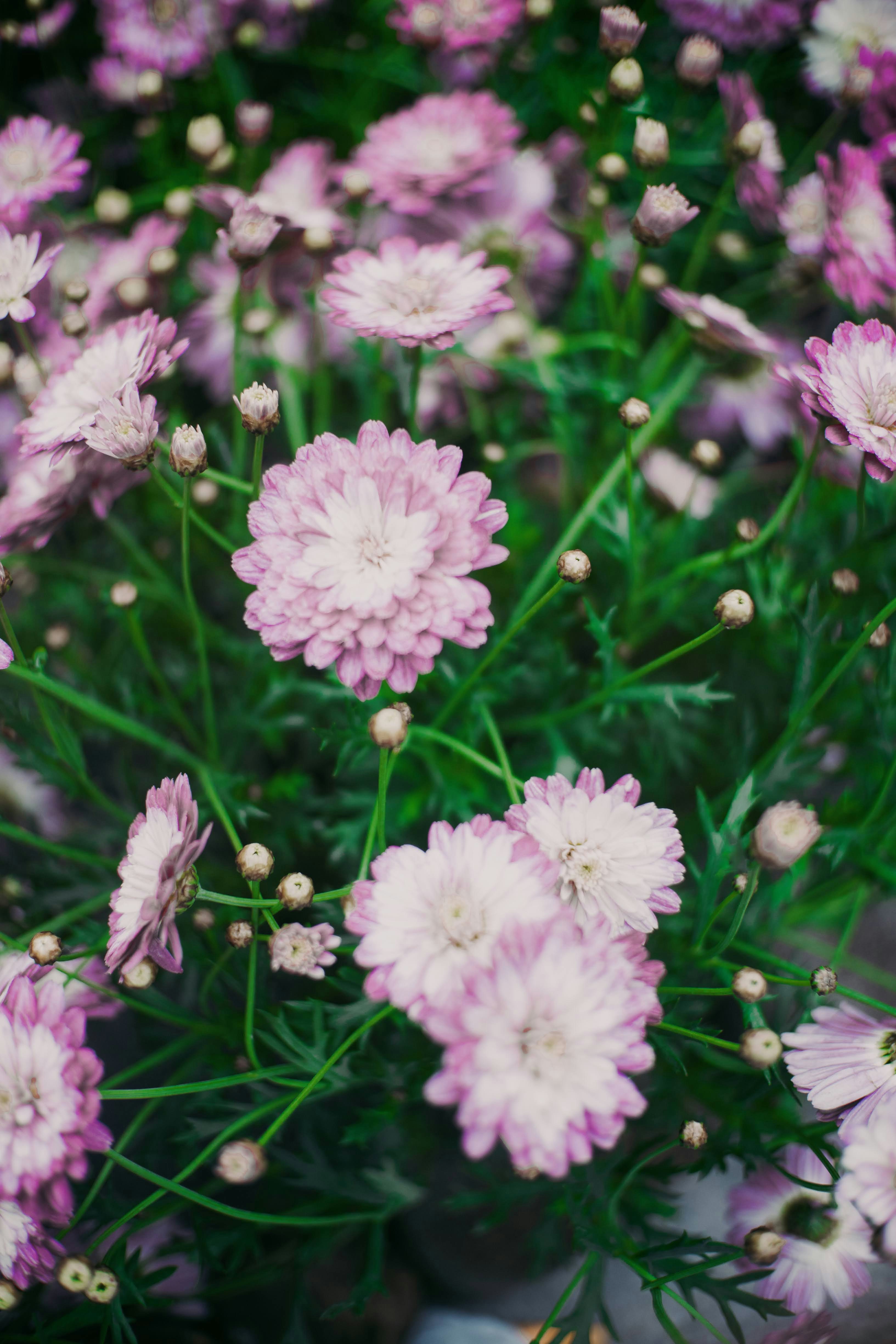 Photo by madeline_sd