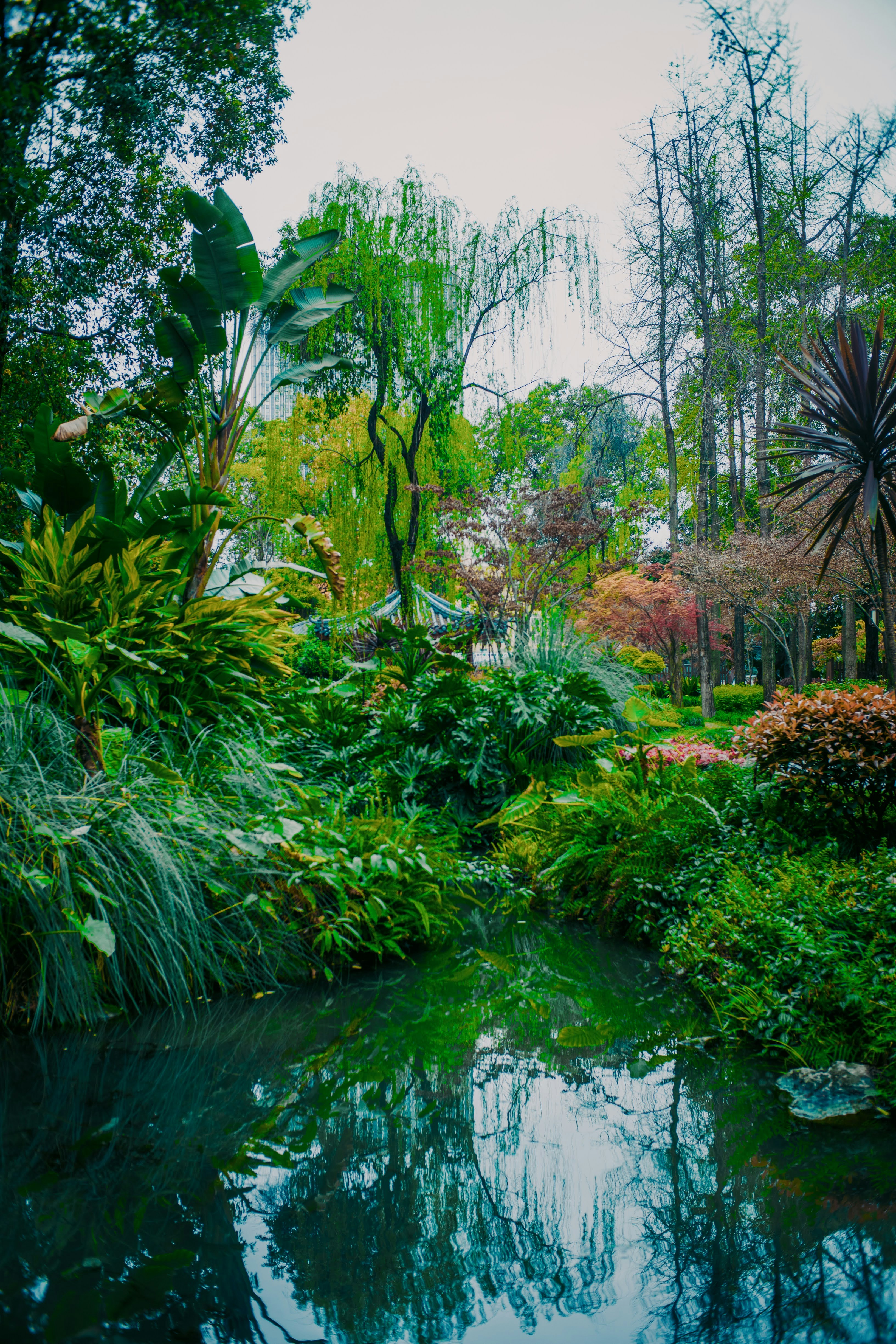 Photo by madeline_sd