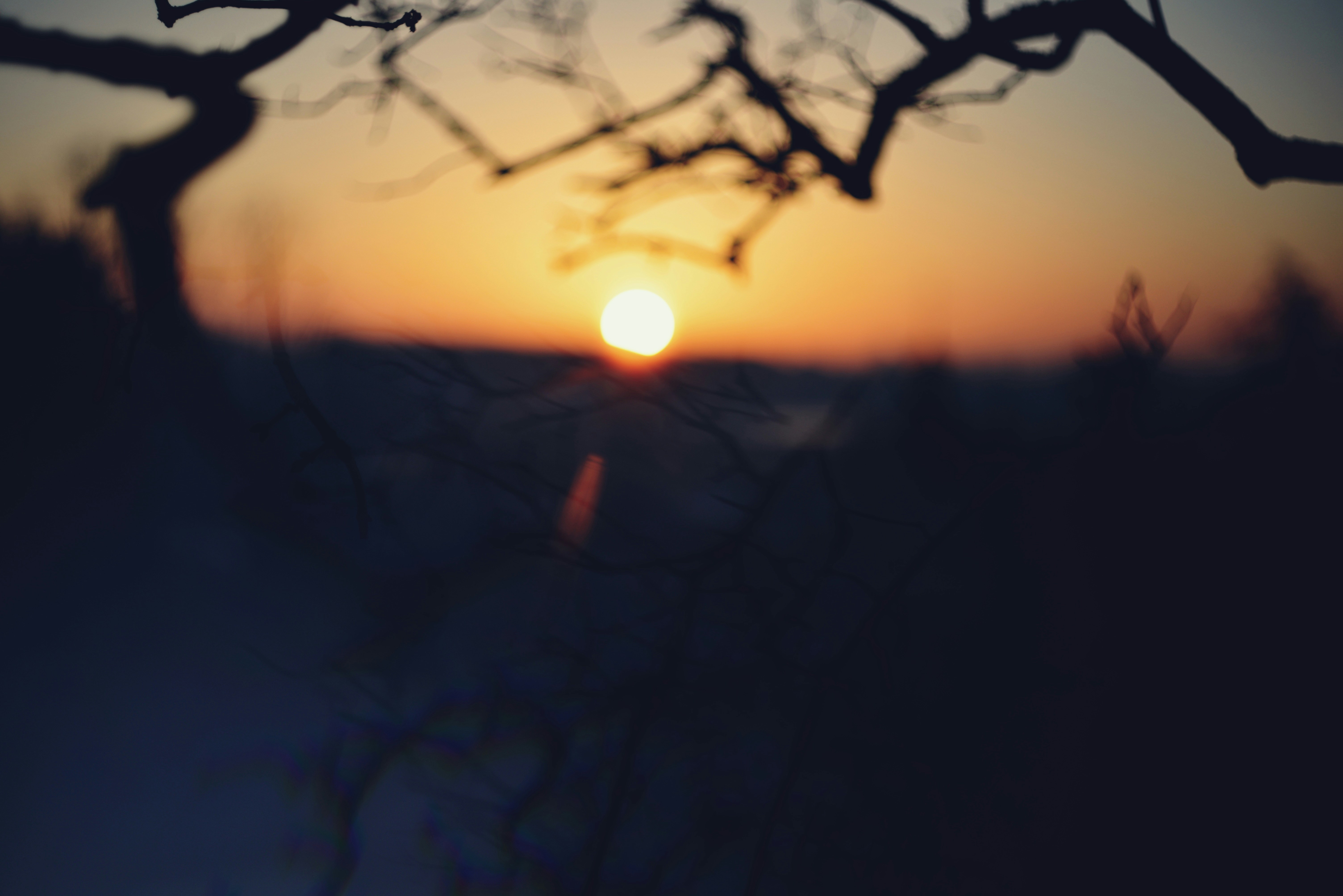 Photo by cherstve_pechivo