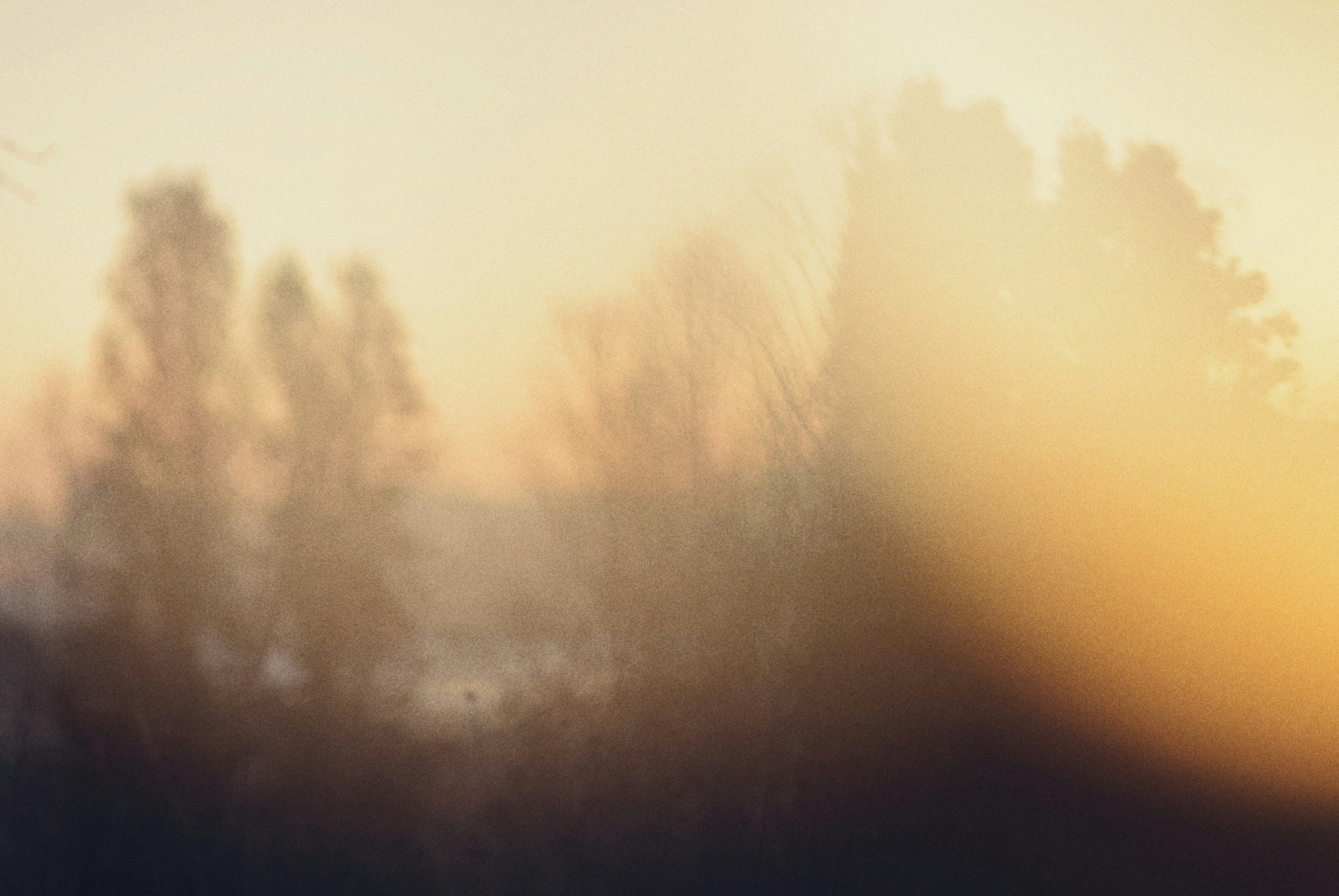 soft morning light, wallpaper, Wedding Morning Atmosphere: Essential Tips 6