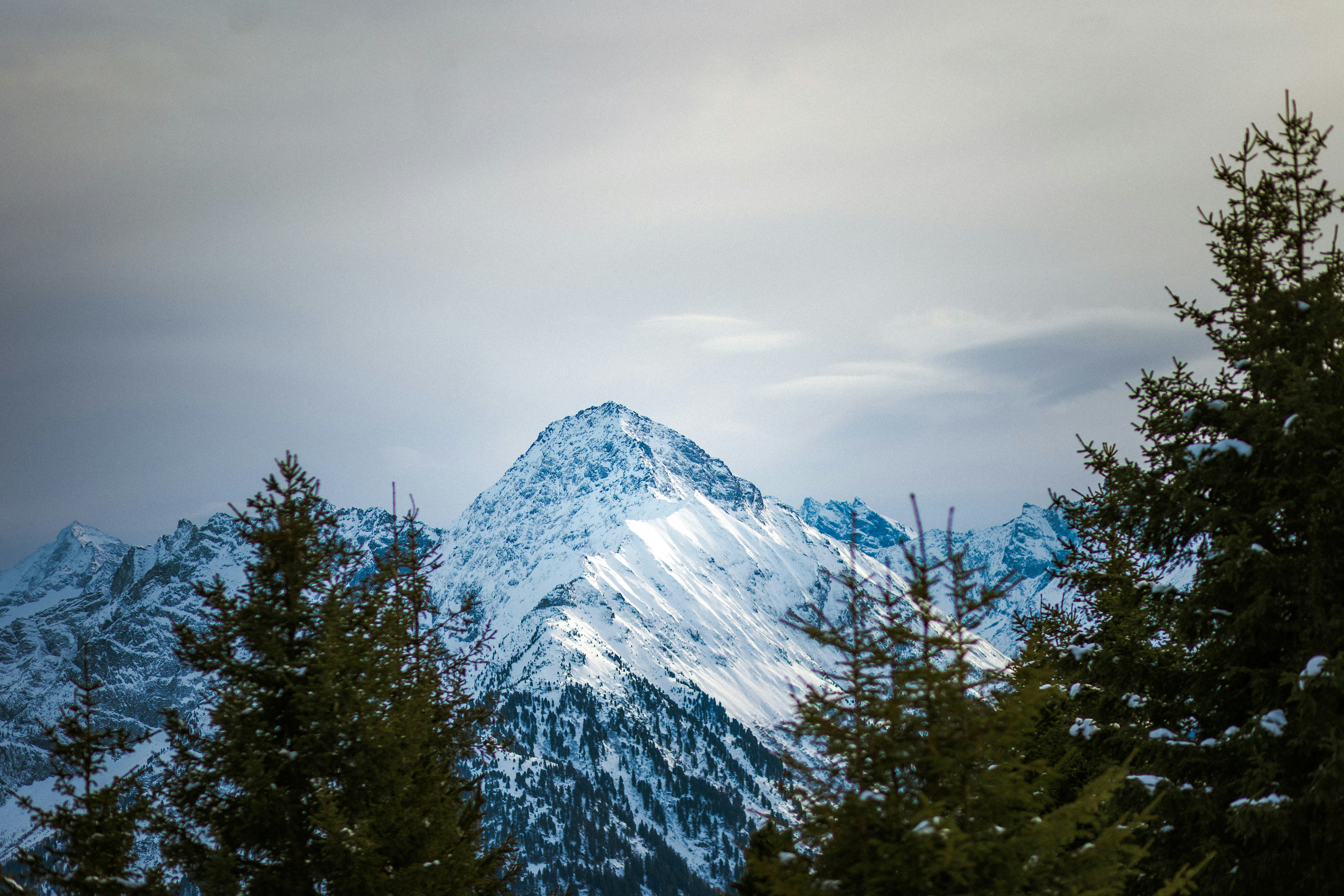 Photo by behindthetmuna