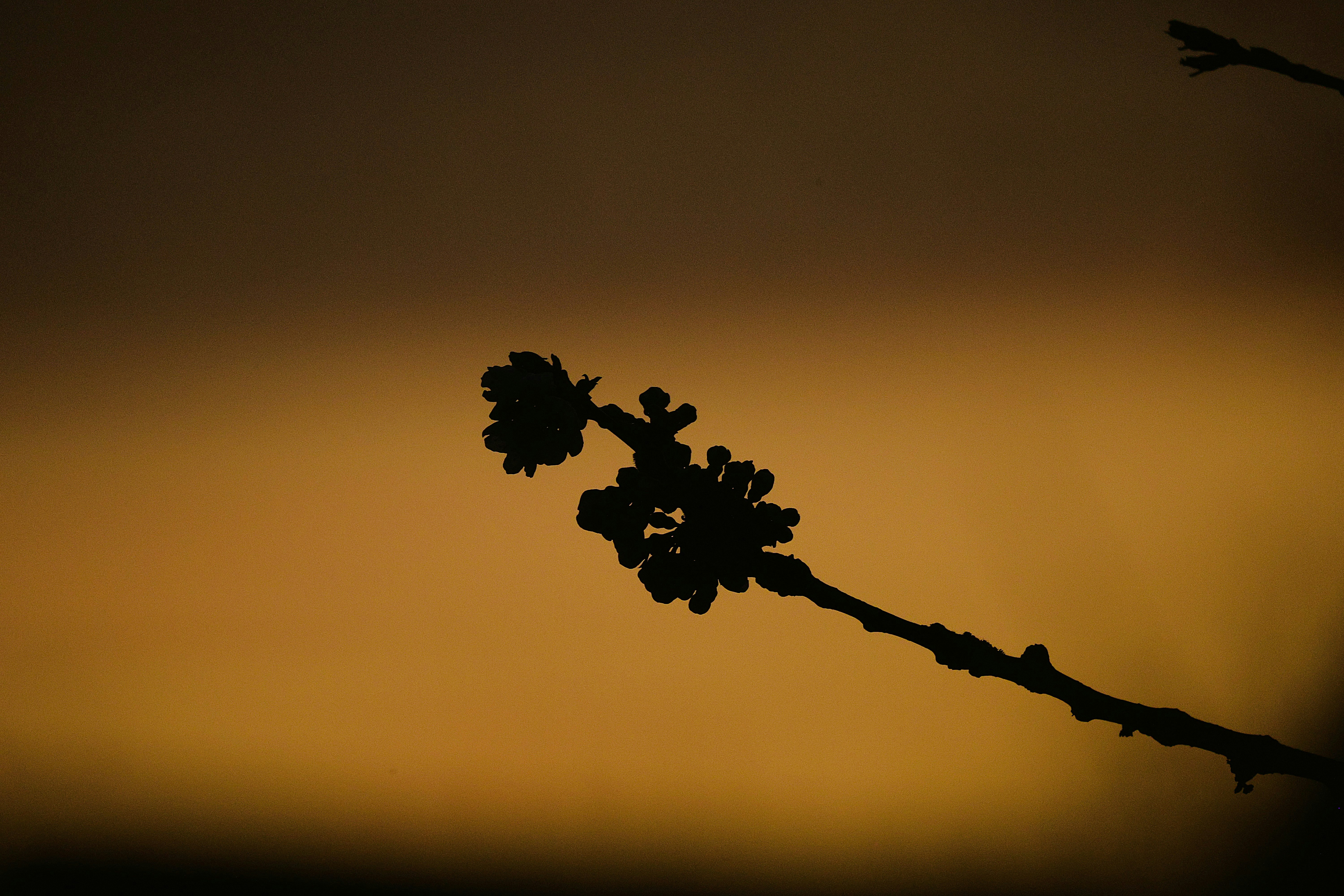 Photo by merih82