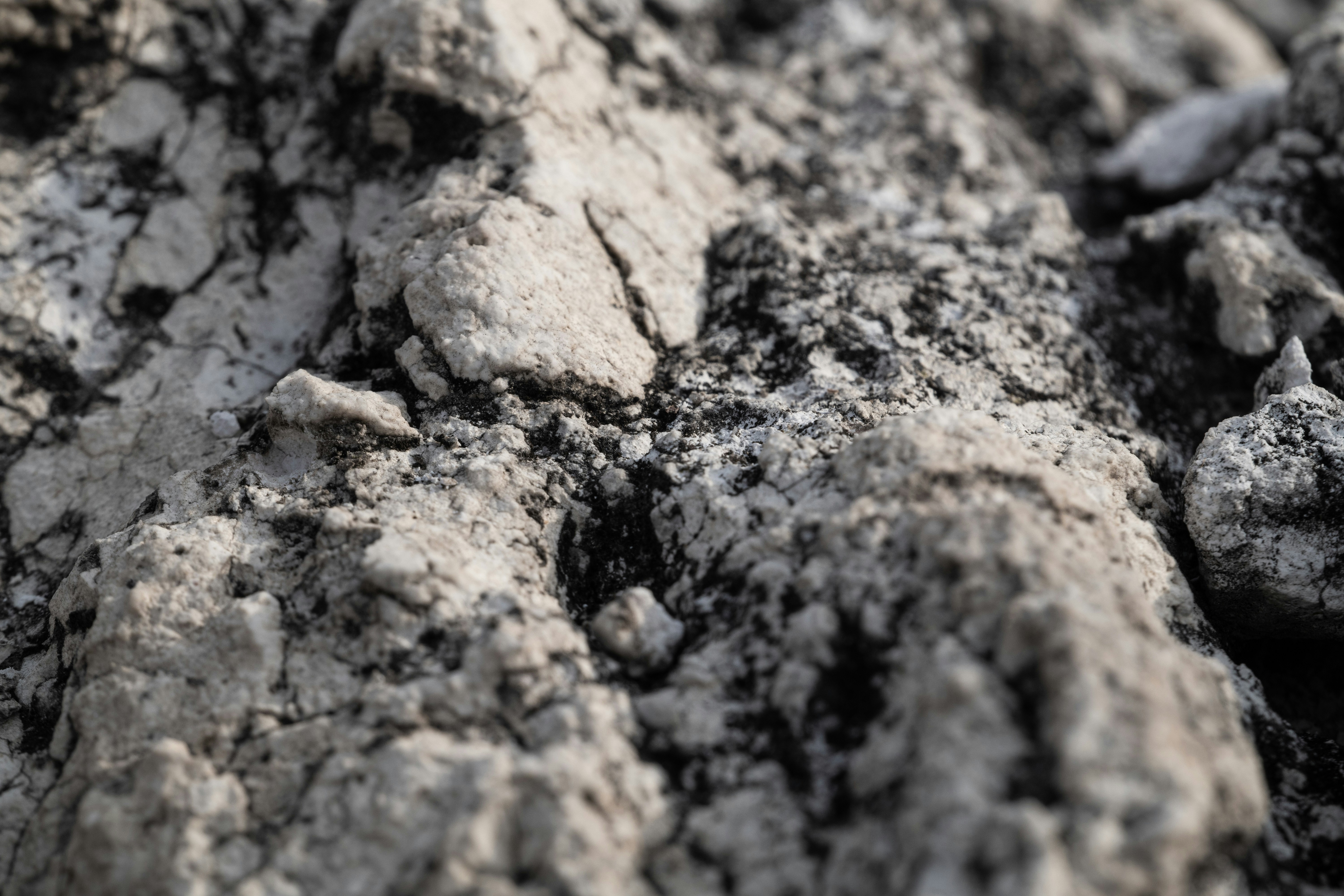 Close-up texture of dry cracked earth