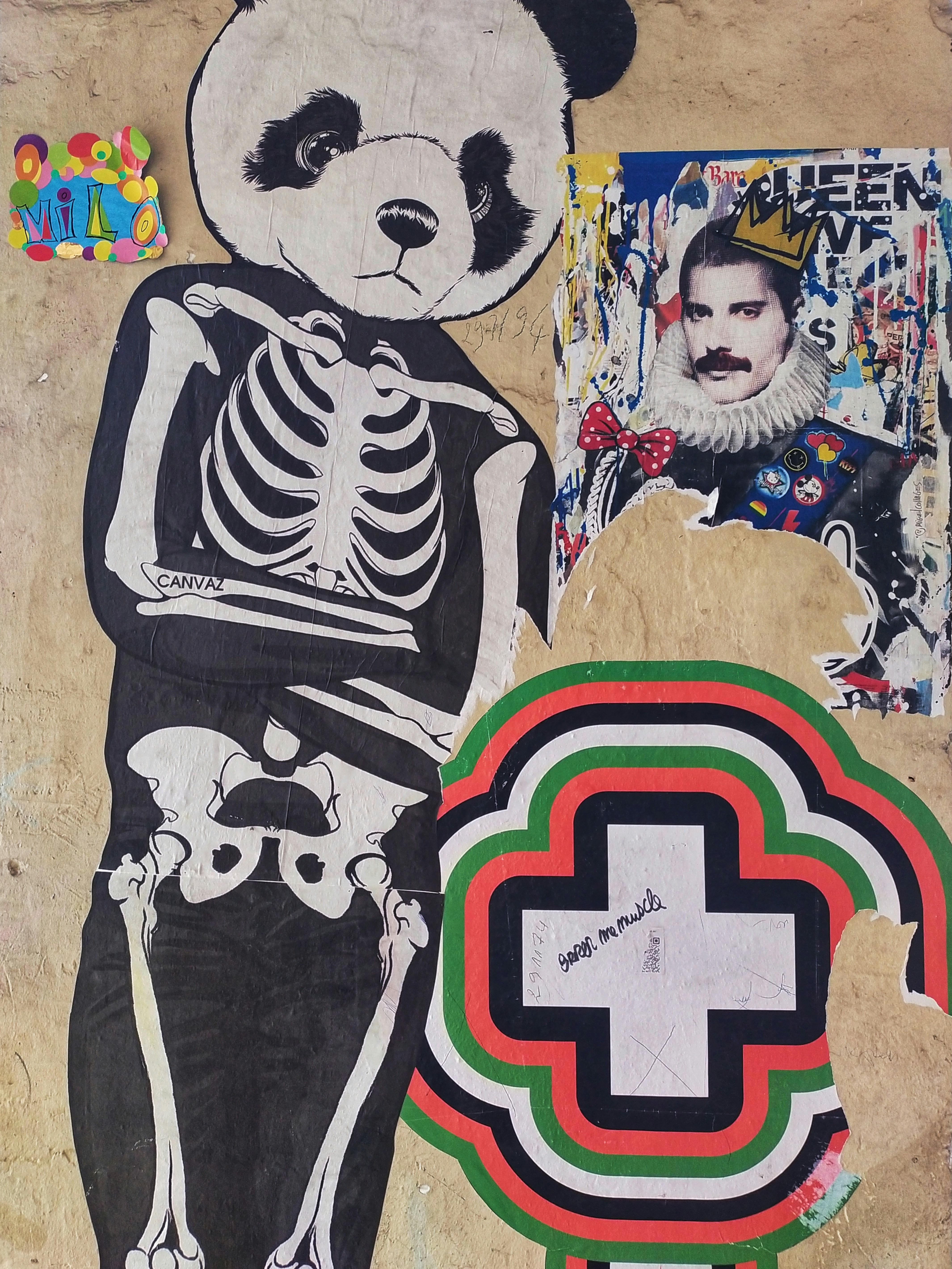Panda skeleton with freddie mercury collage
