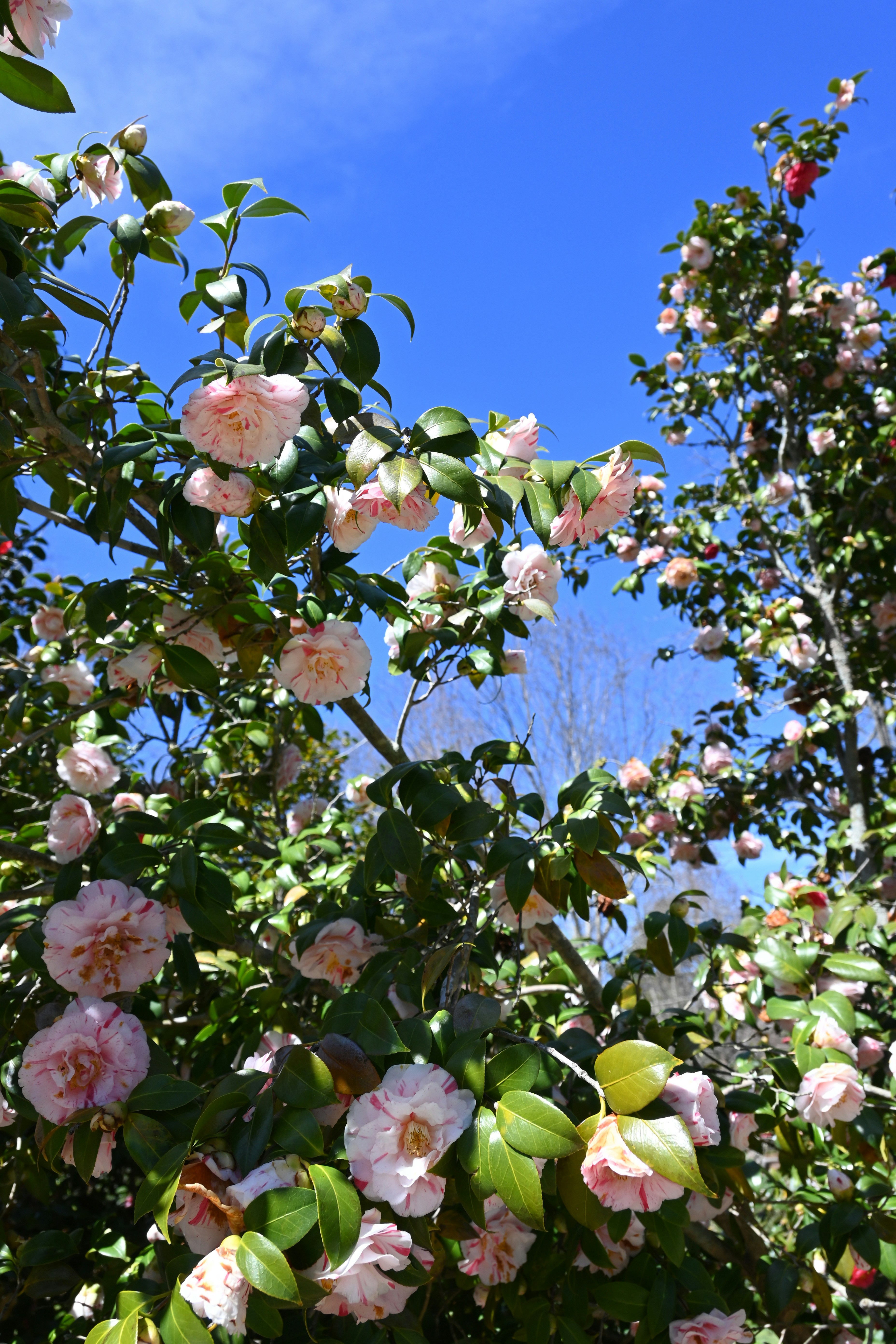 Photo by karolinabobek