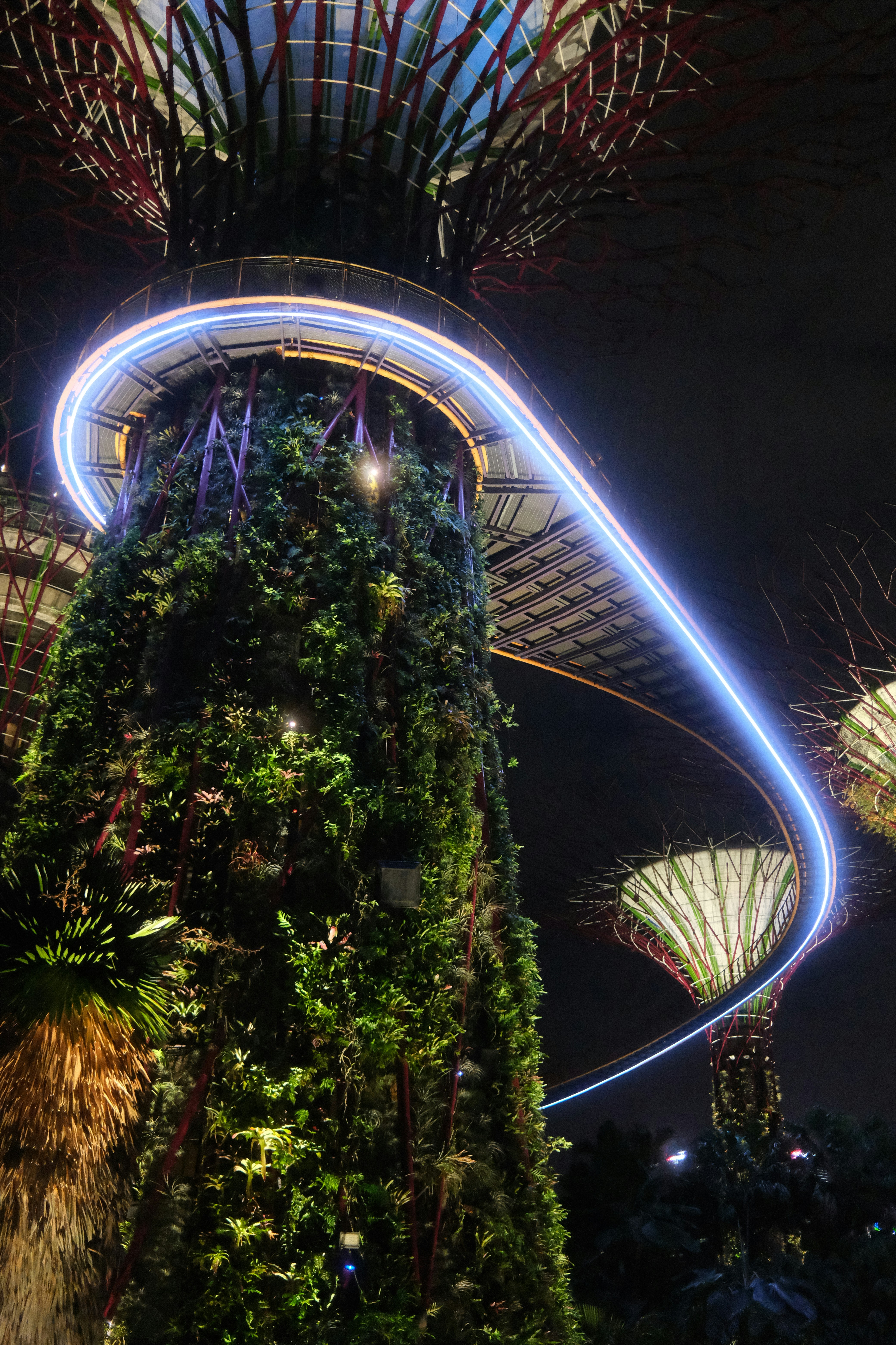 Futuristic tree-like structures illuminated at night with a light trail.