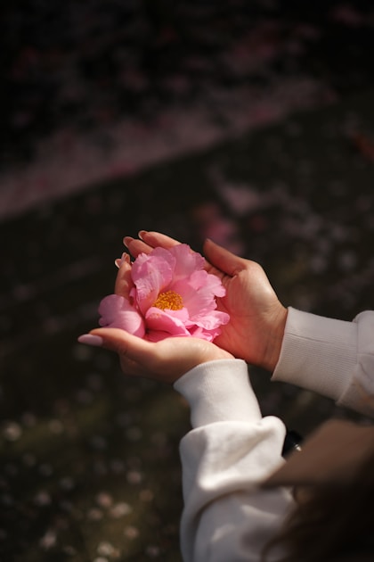 골프 클럽 세트 - 시설 장비 확인