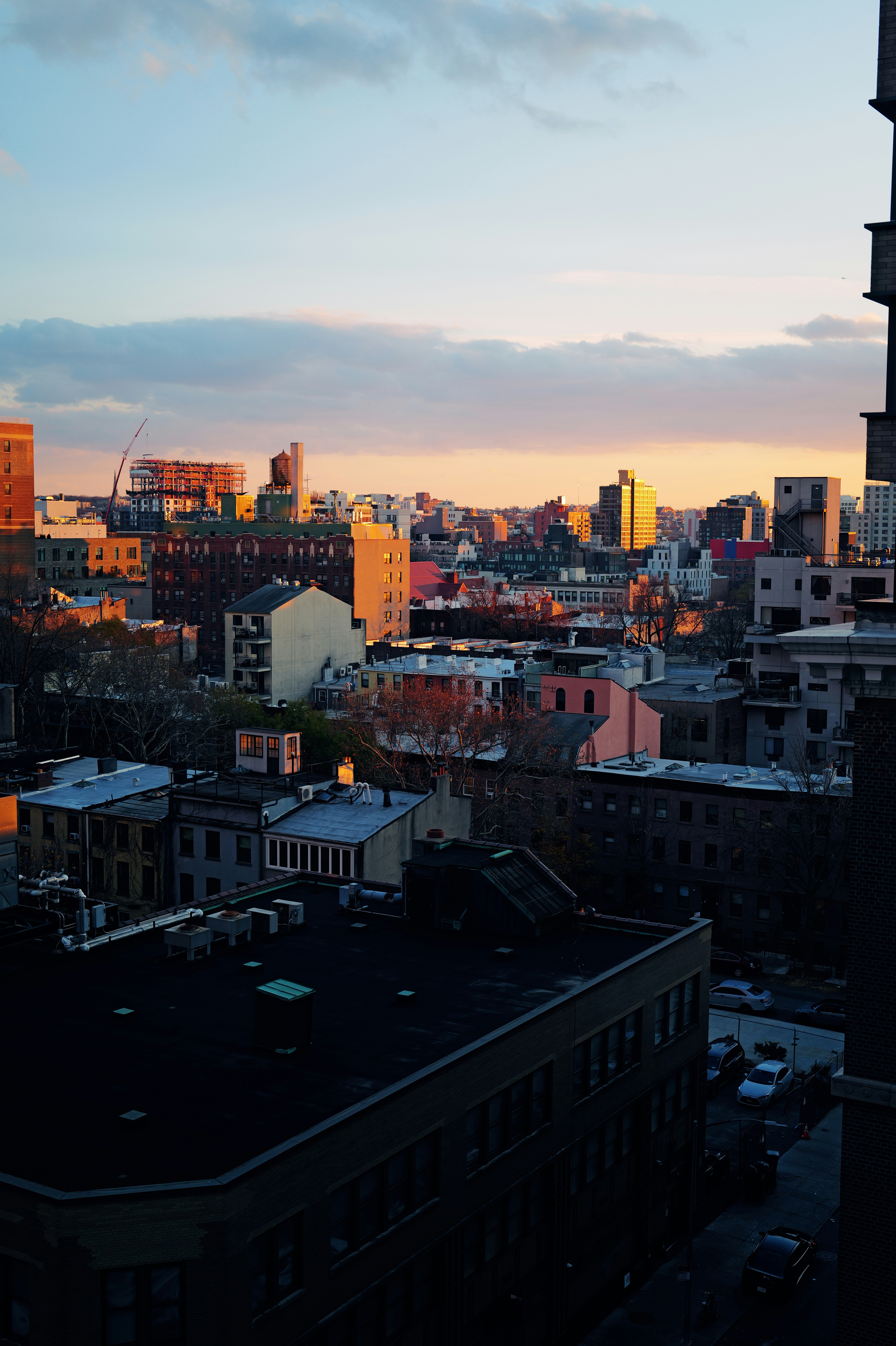 Photo by leoziaja