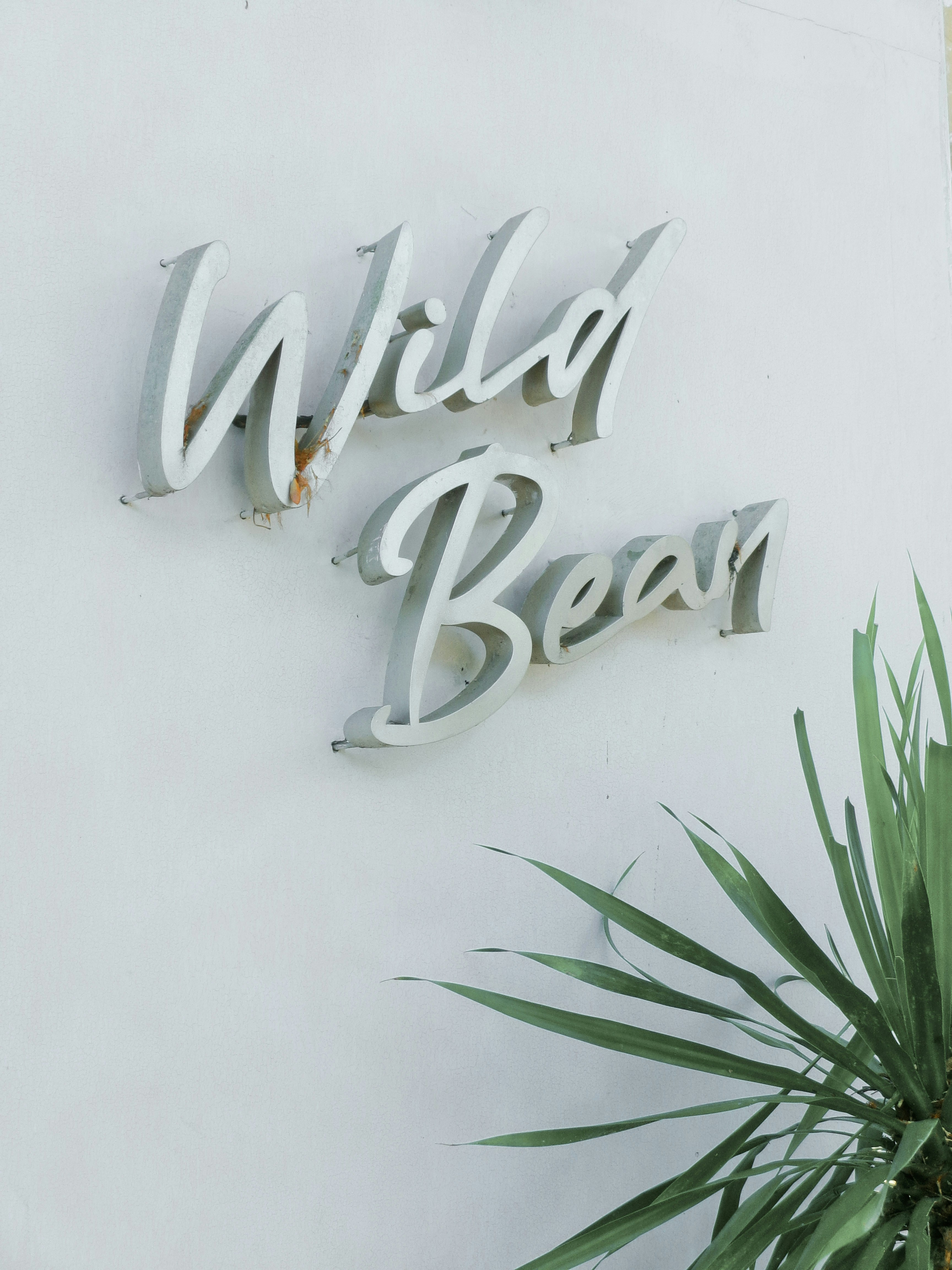 minimalist brand identity, wallpaper, Domain Name in Logo Design: Best Practices for Branding 5