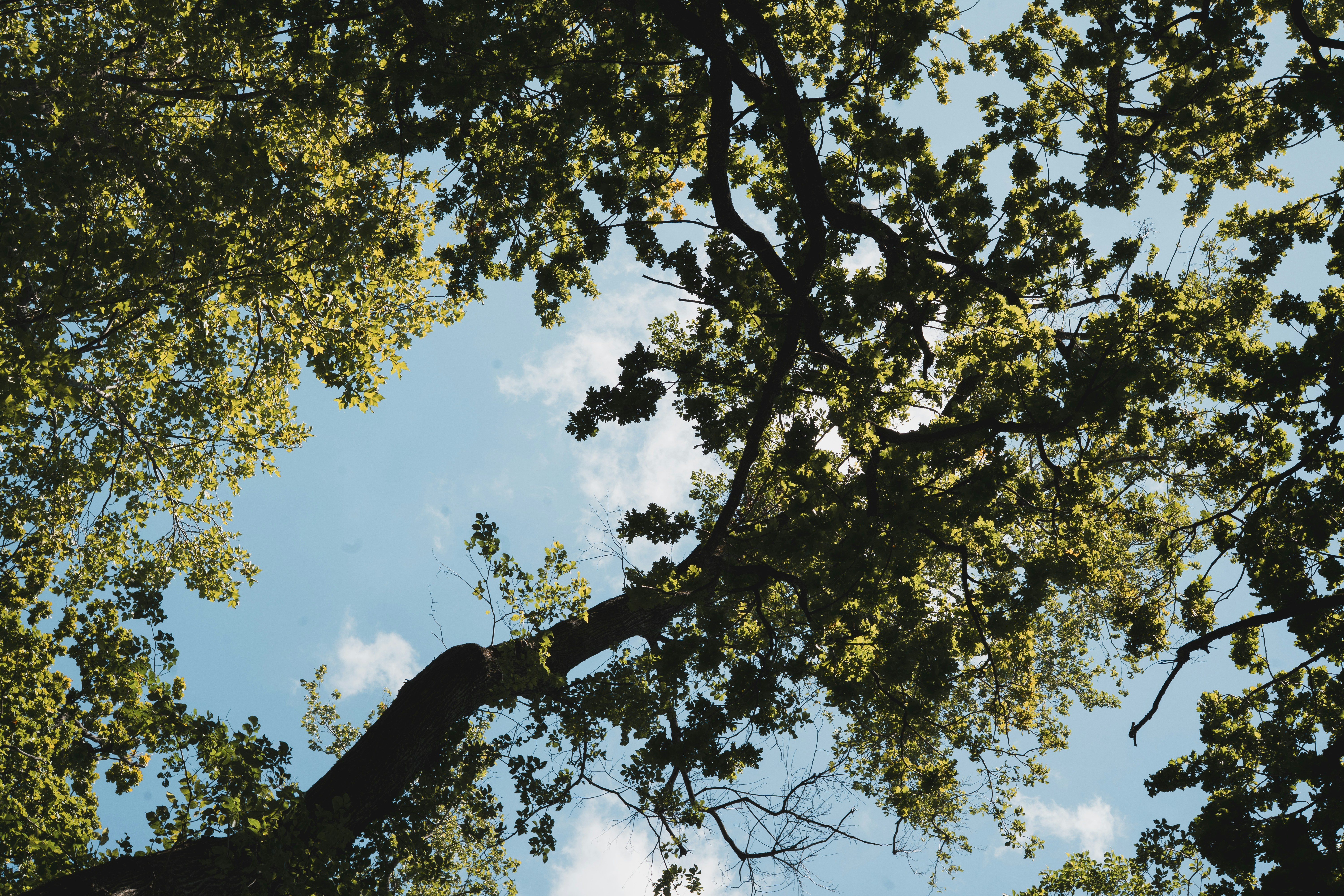 Photo by eden_tuaine