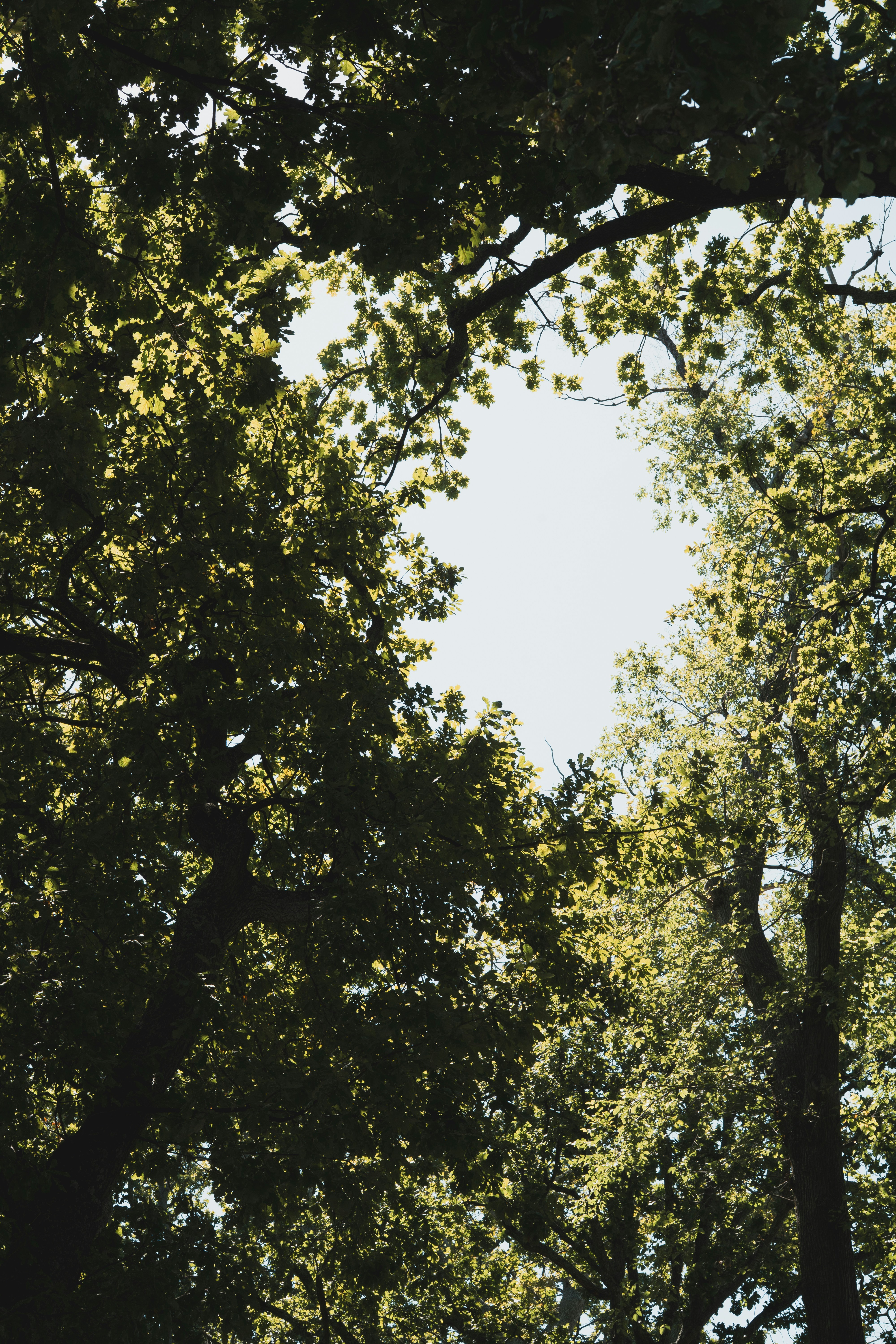 Photo by eden_tuaine