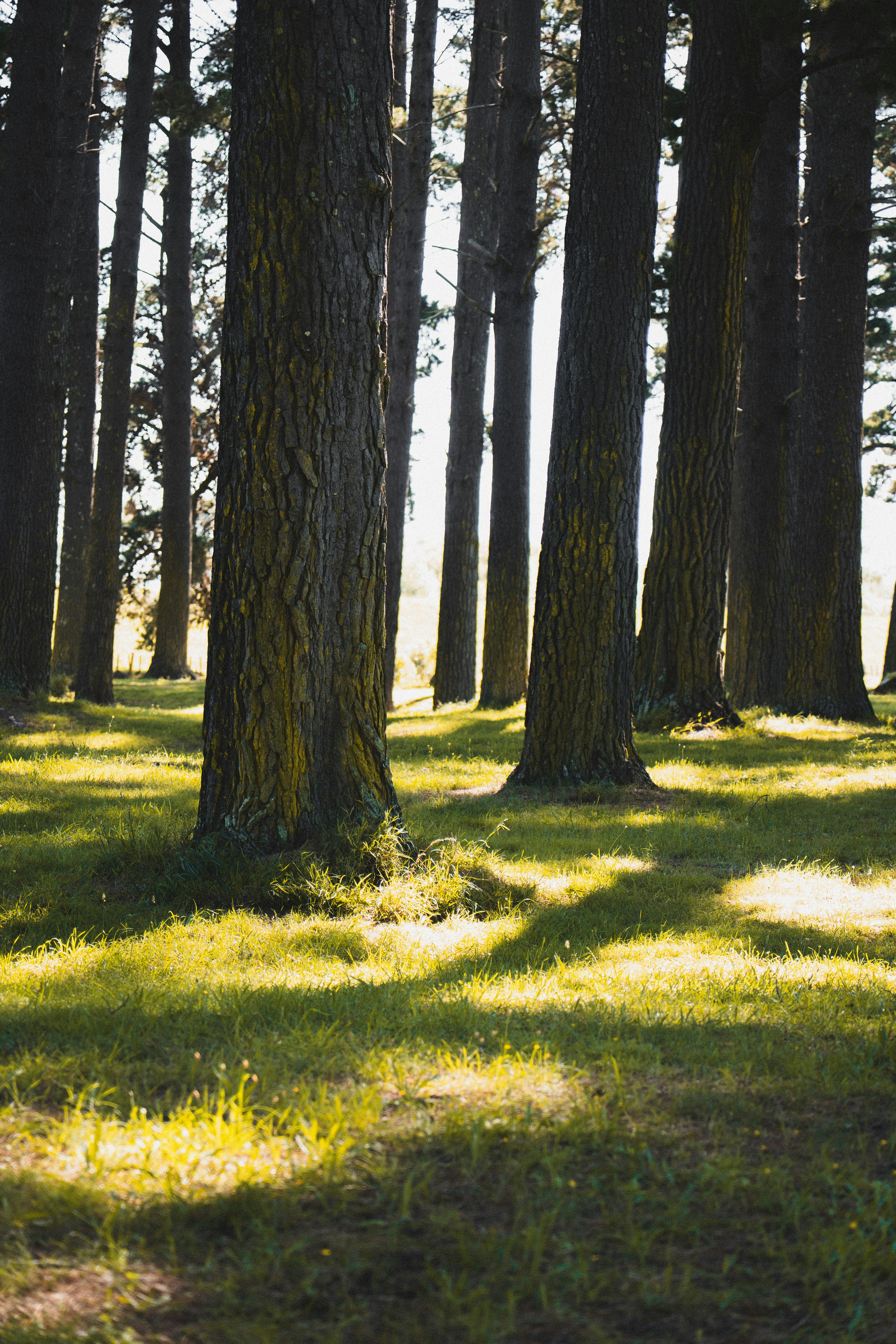 Photo by eden_tuaine