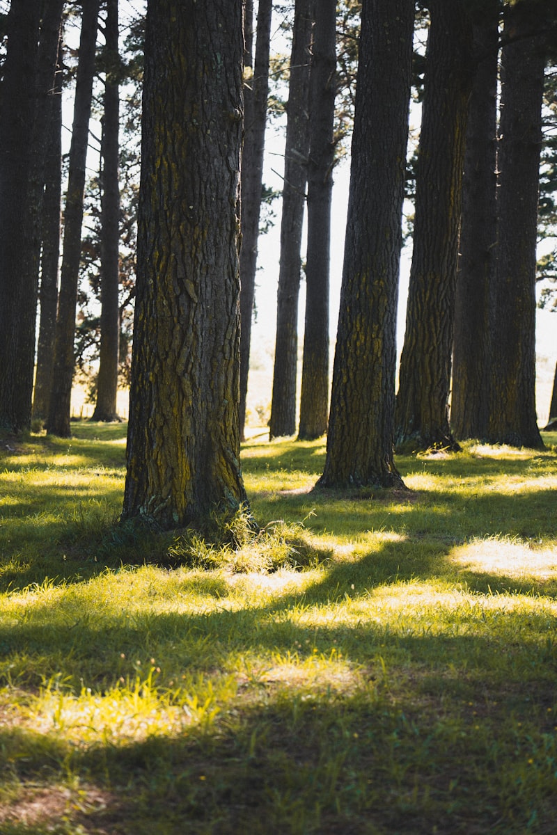Nature conservation