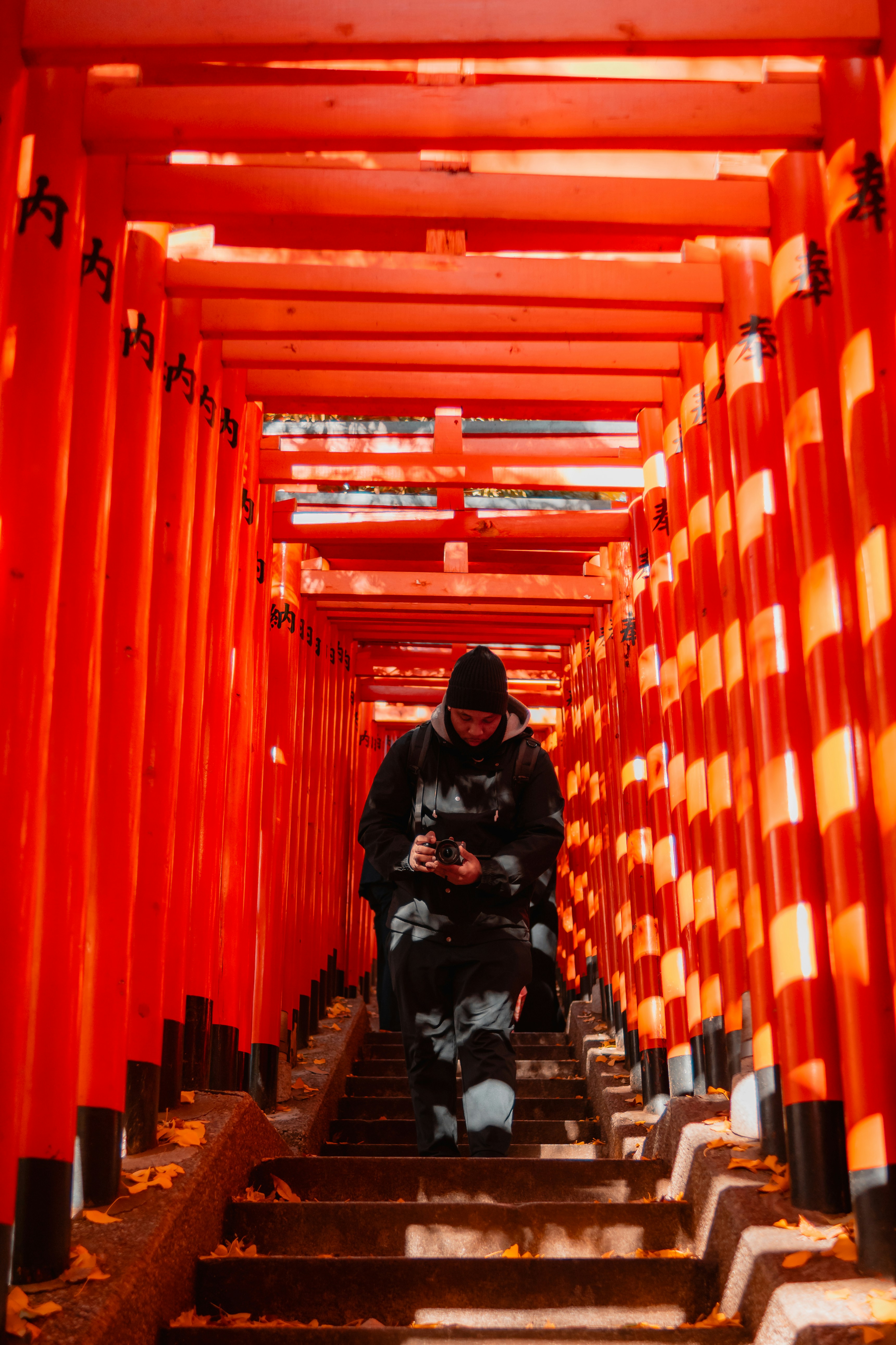 Un homme marche à travers des portails torii orange vif