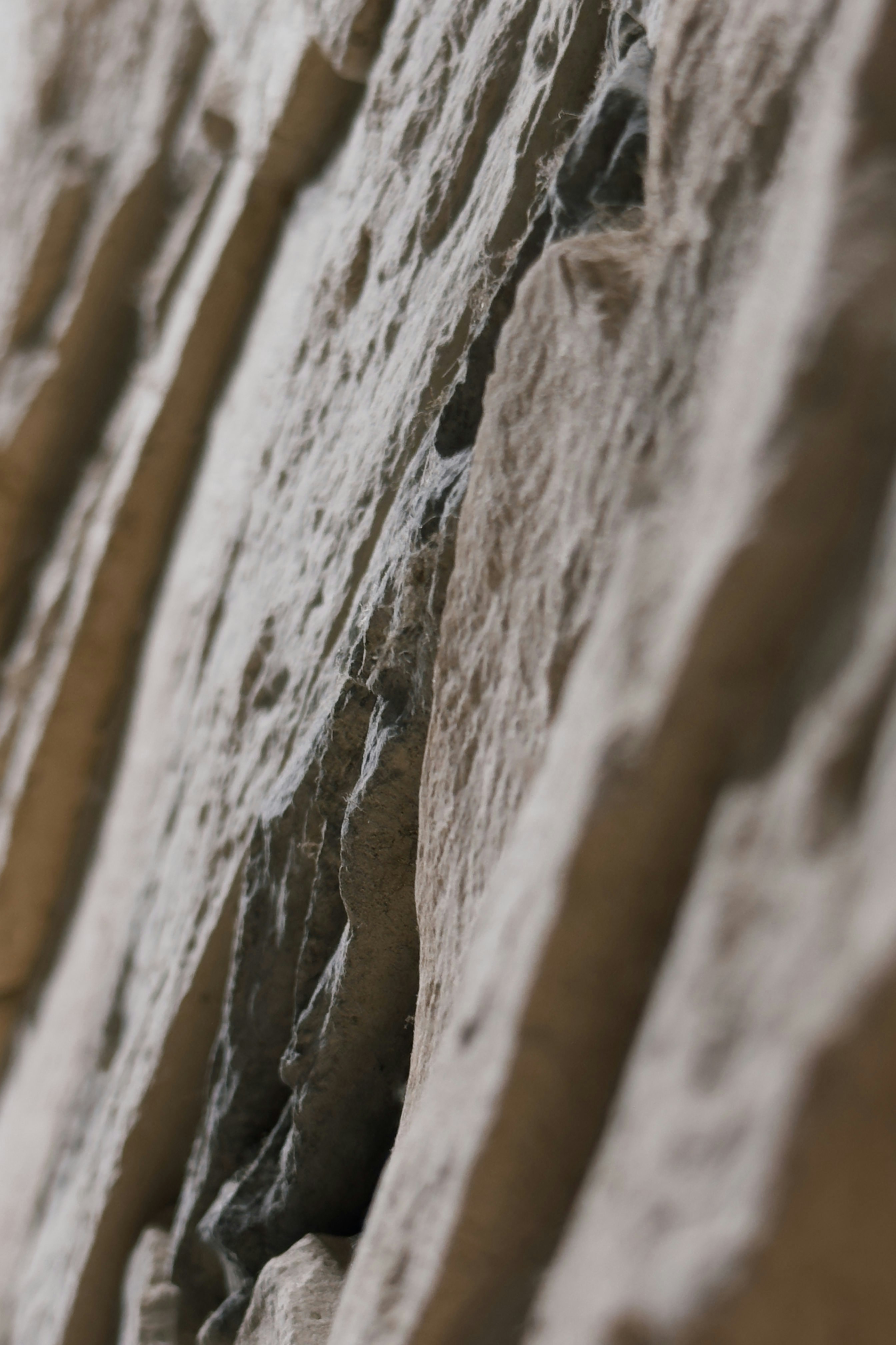 Close-up of textured rock face with deep crevices