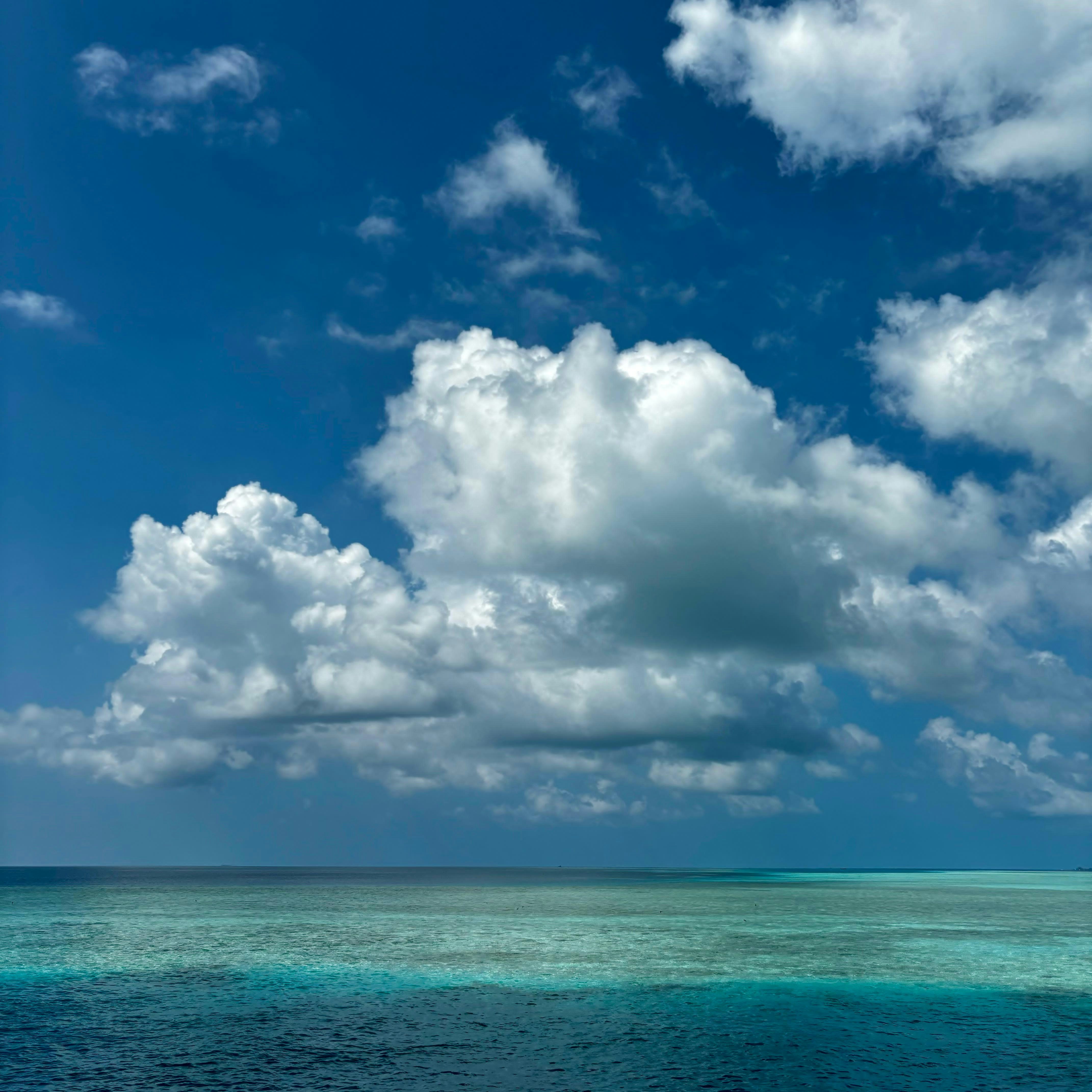 Photo by beatricebolondi