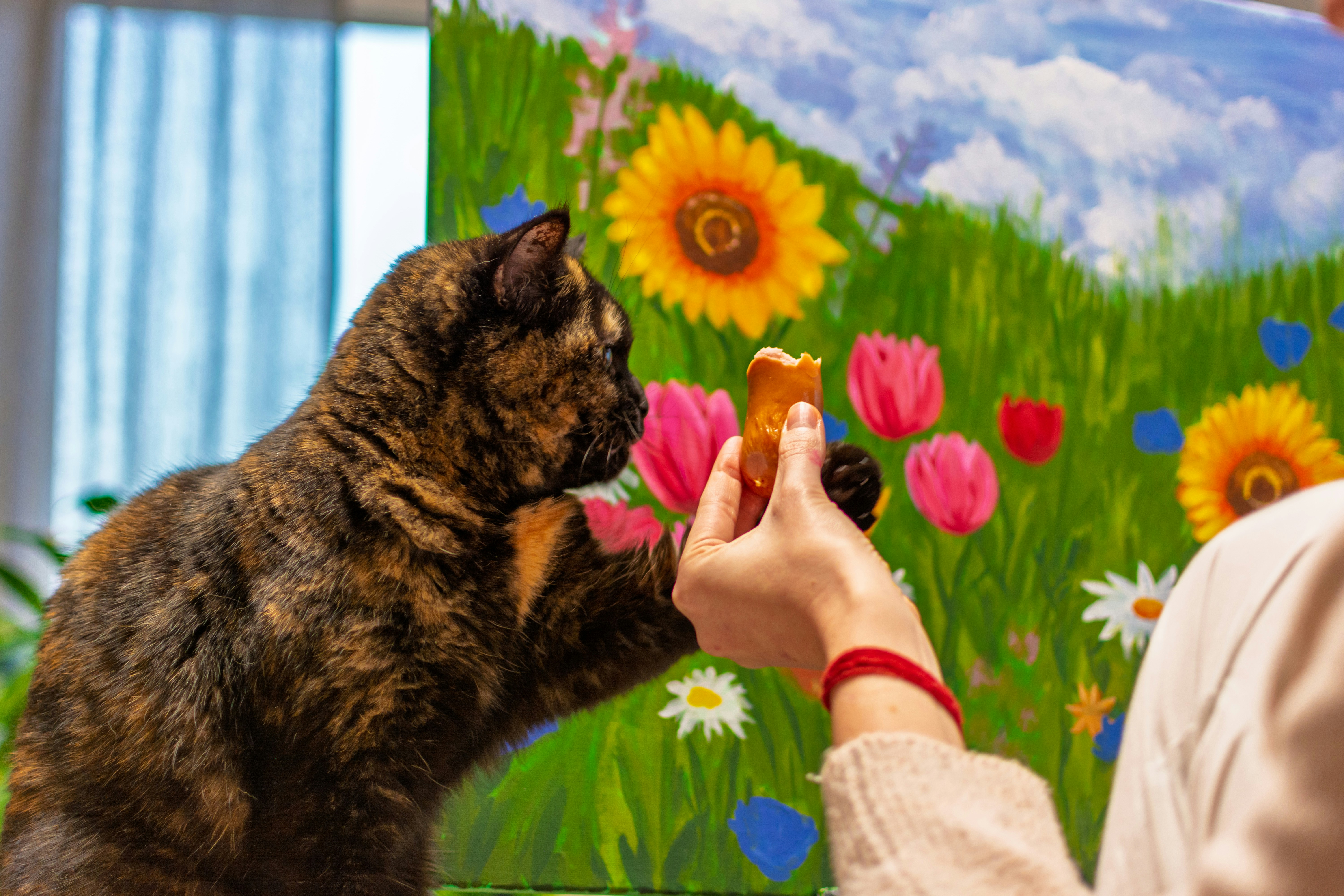 pet painting process