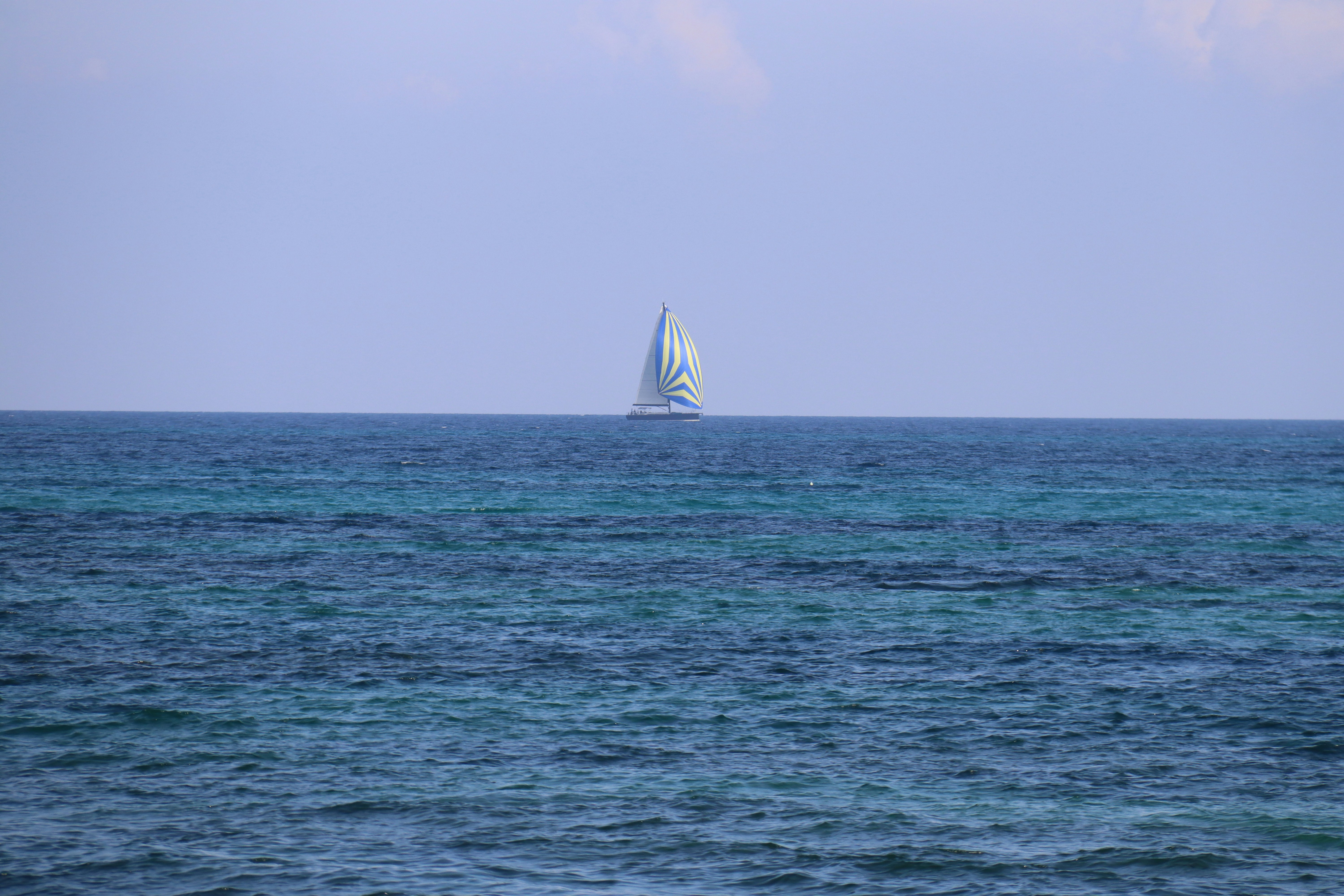 Photo by shalevcohen