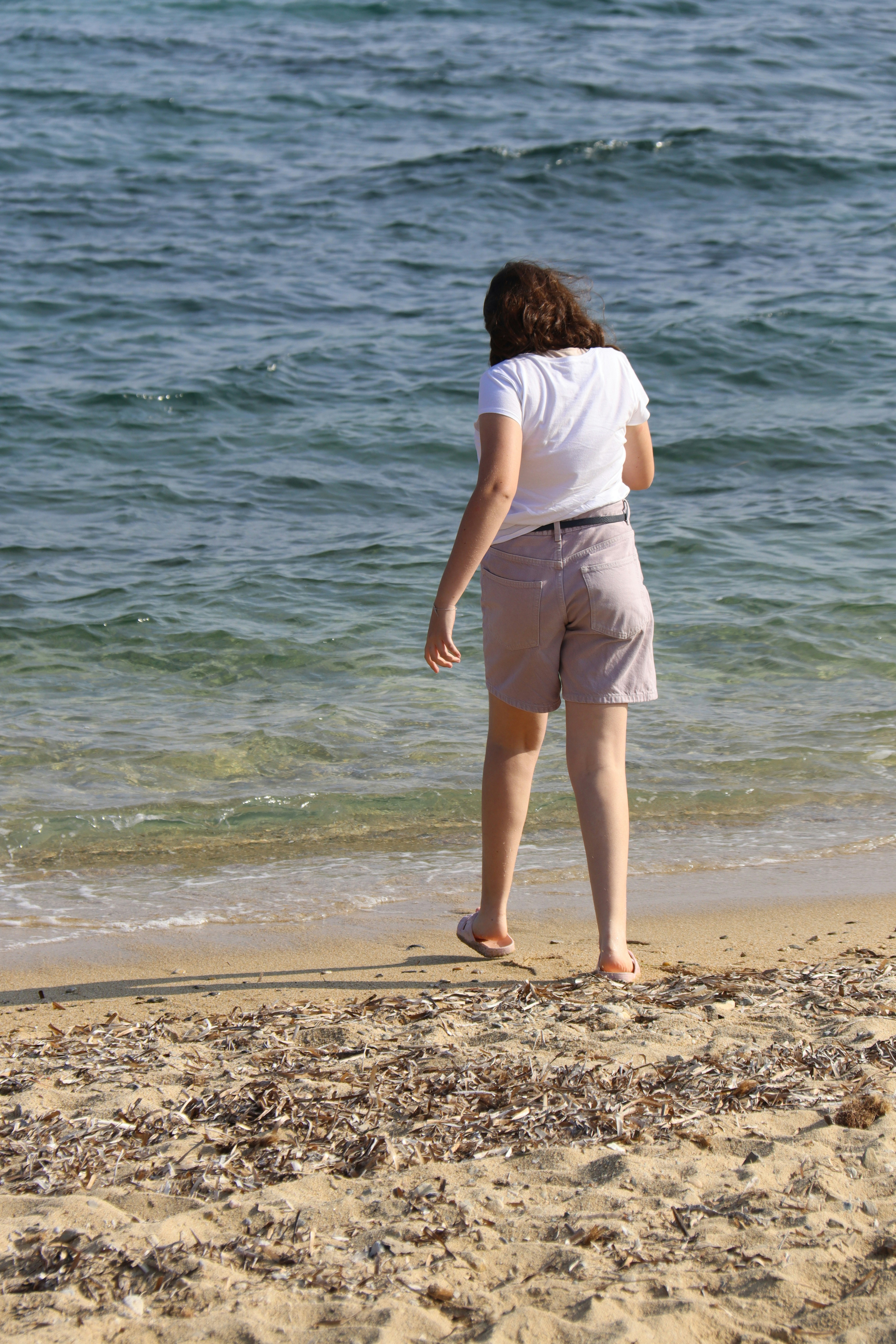 Una persona está de pie en una playa de arena junto al mar.