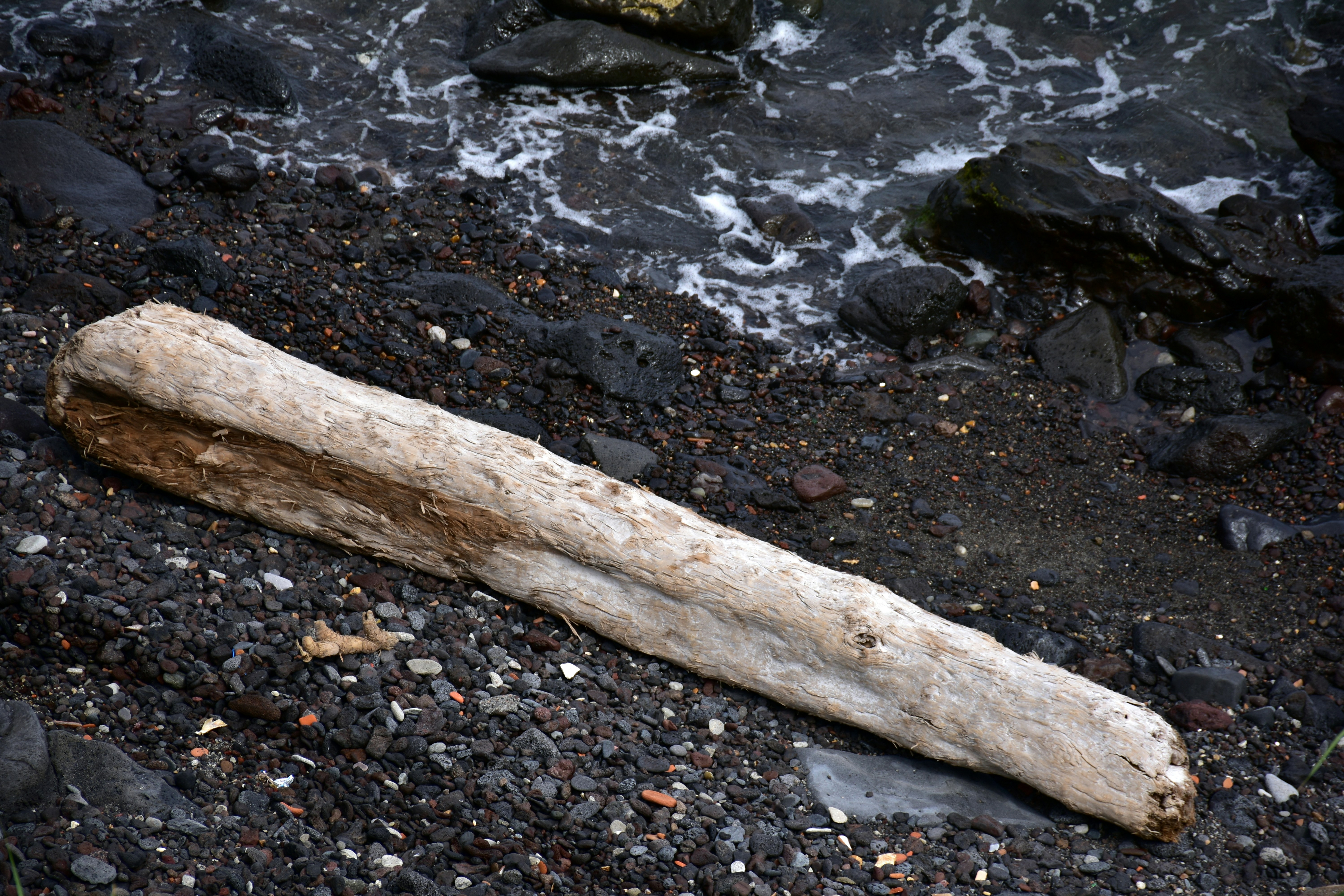 A weathered log rests on a dark, pebbly shore.