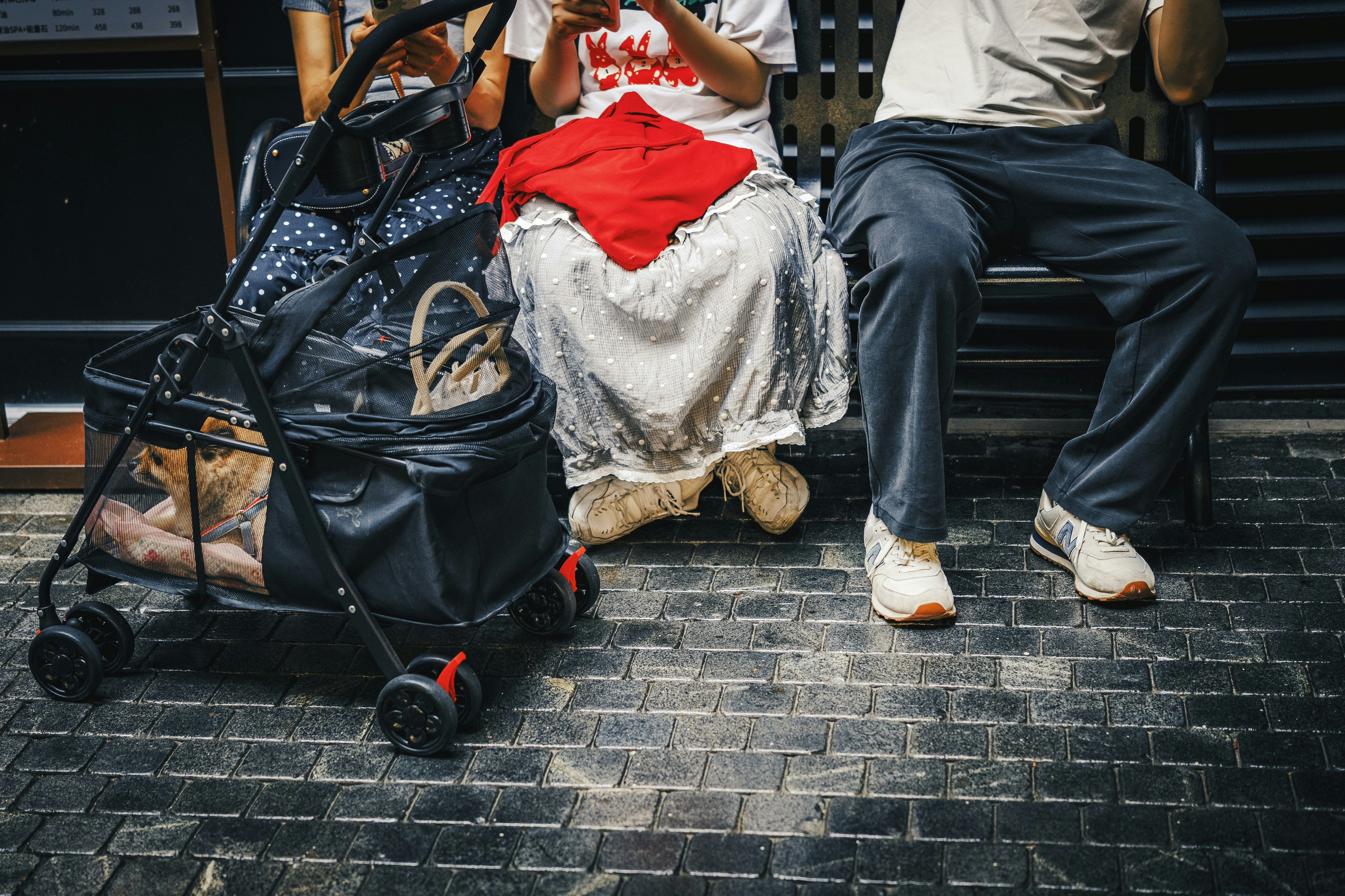 People and dog in a stroller waiting